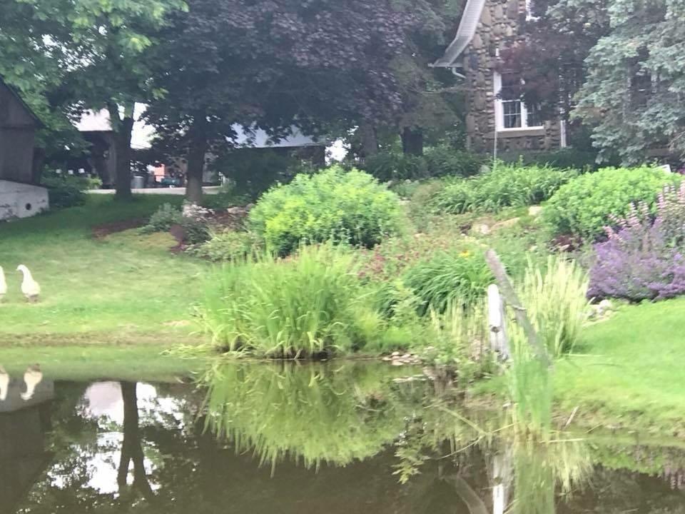 Stone Cottage Gardens