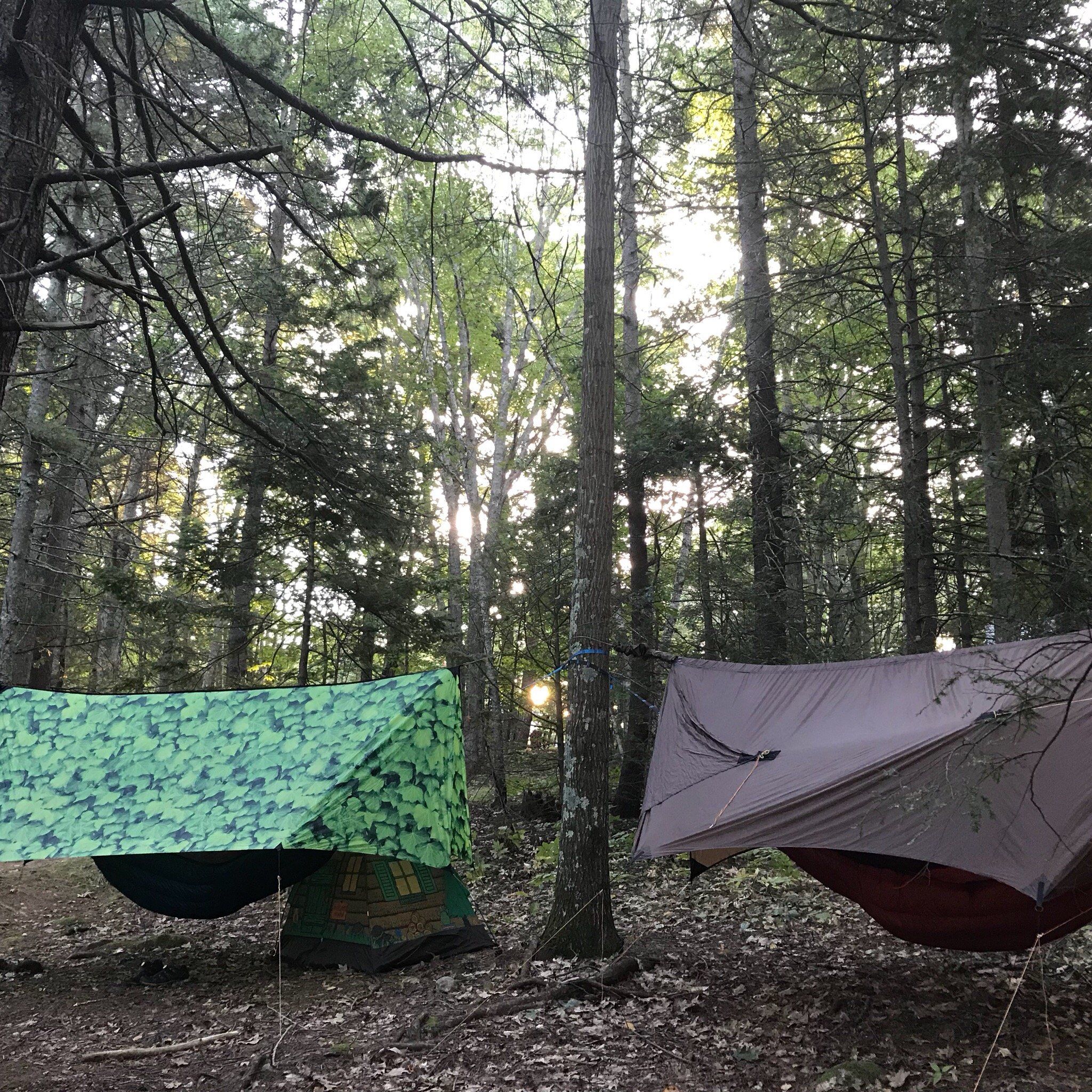 Meadowbrook Camping Area