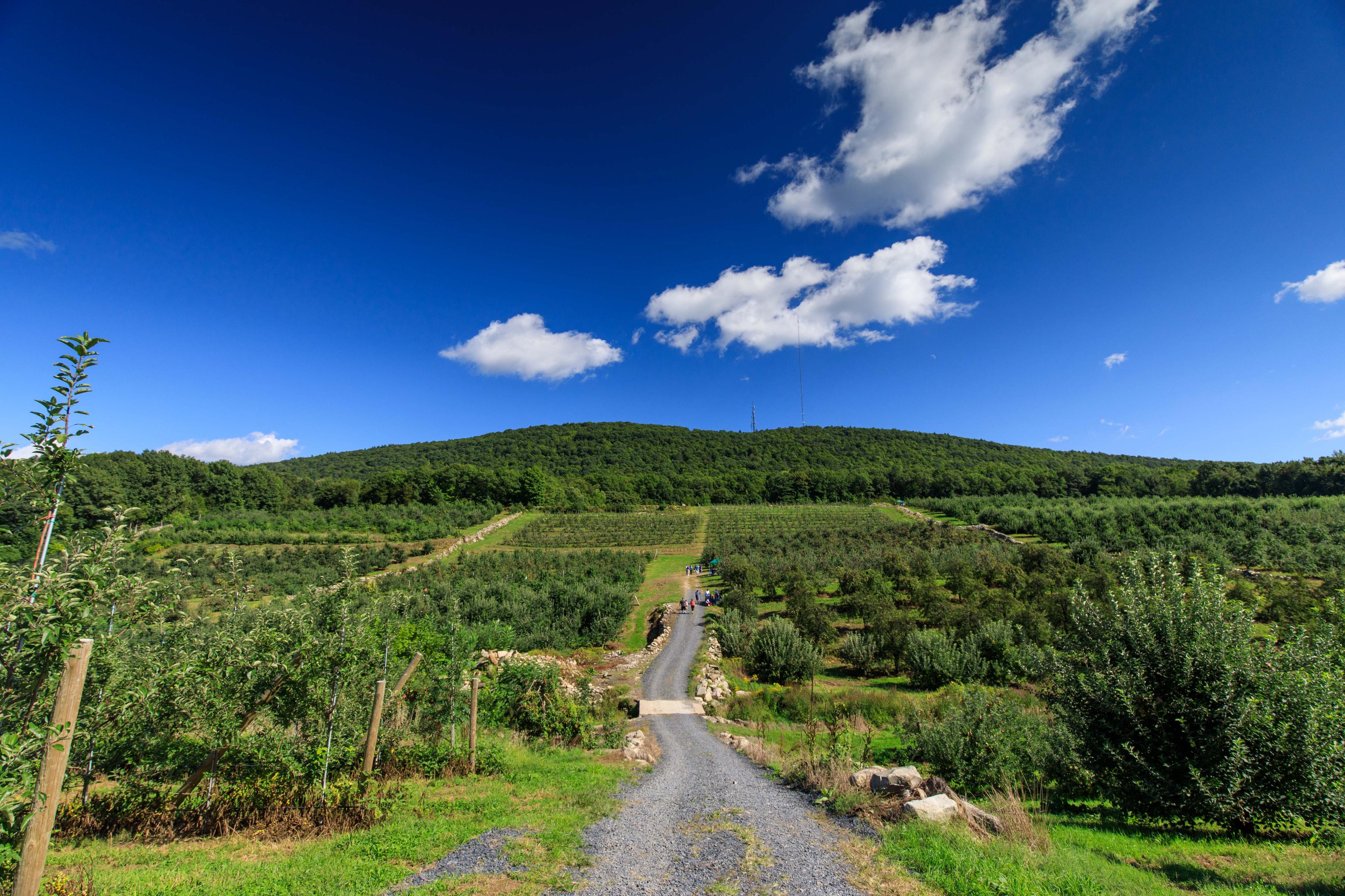 Wilklow Orchards