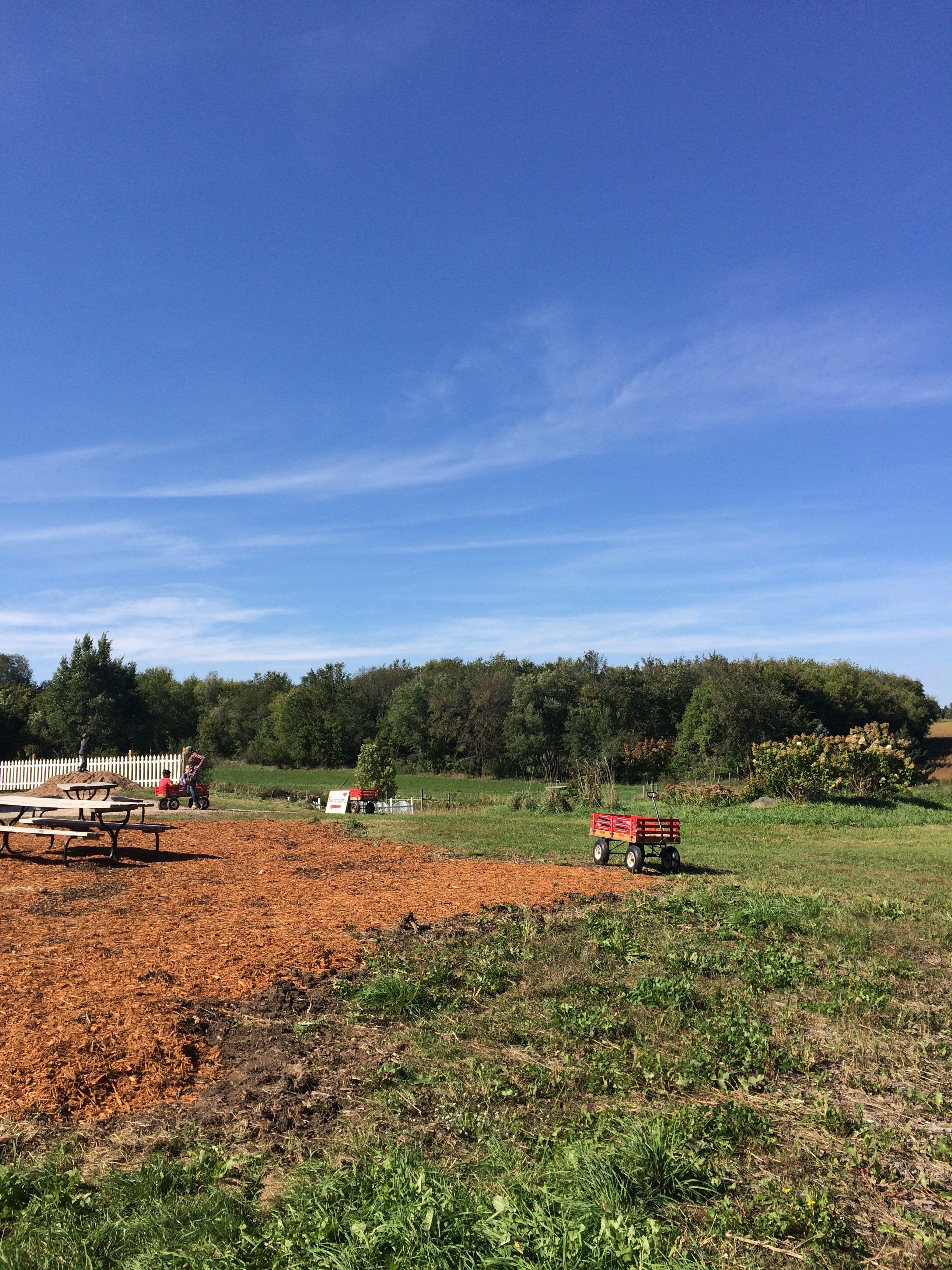 Whistling Well Farm