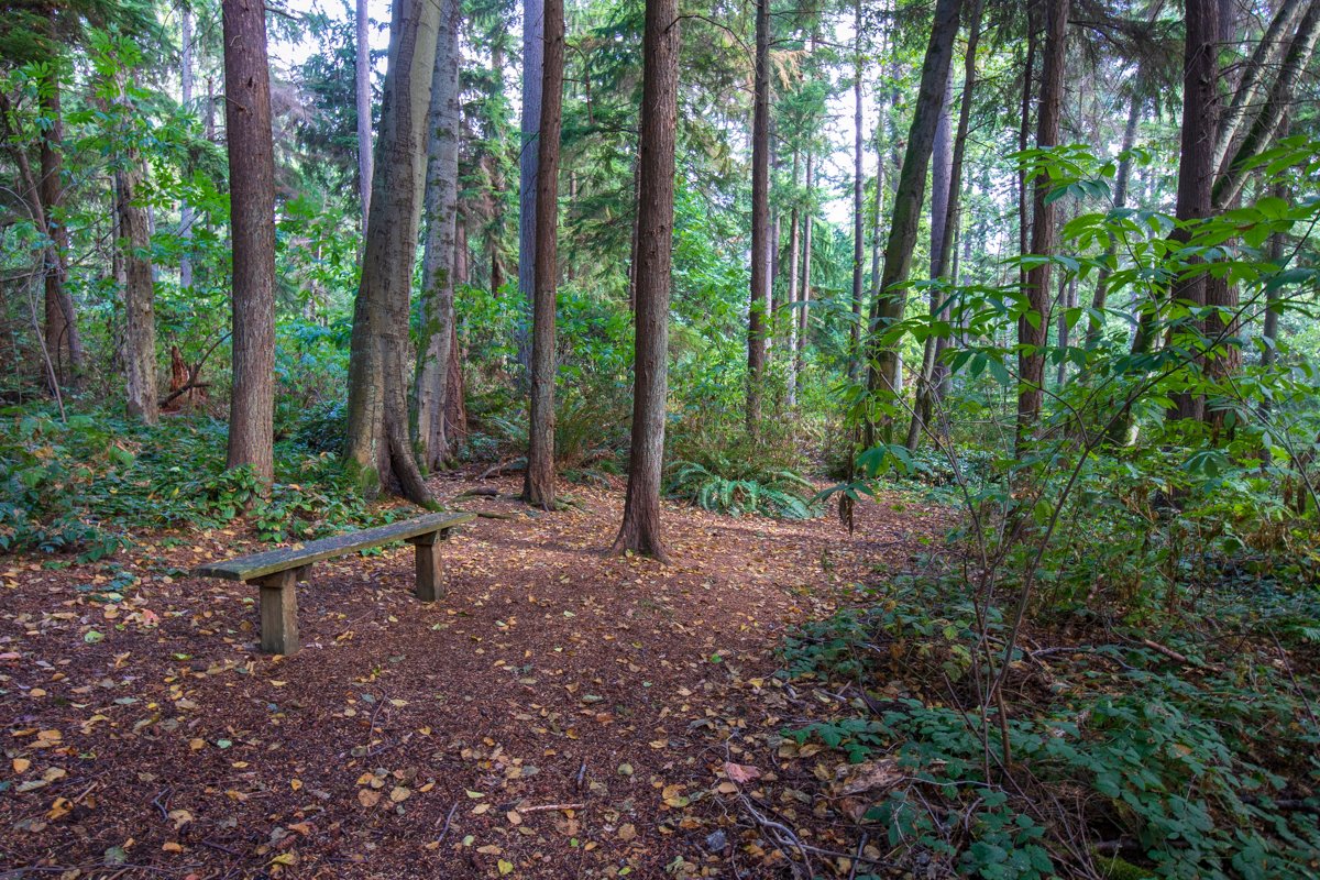 Southwest County Olympic View Park