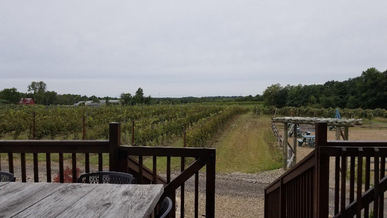 Kosicek Vineyards