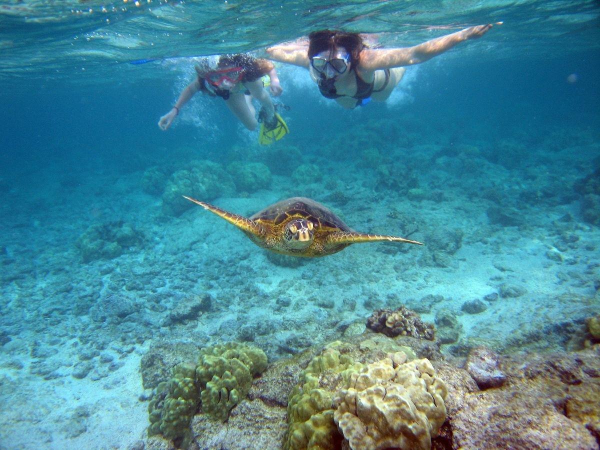 SnorkelRide Kauai