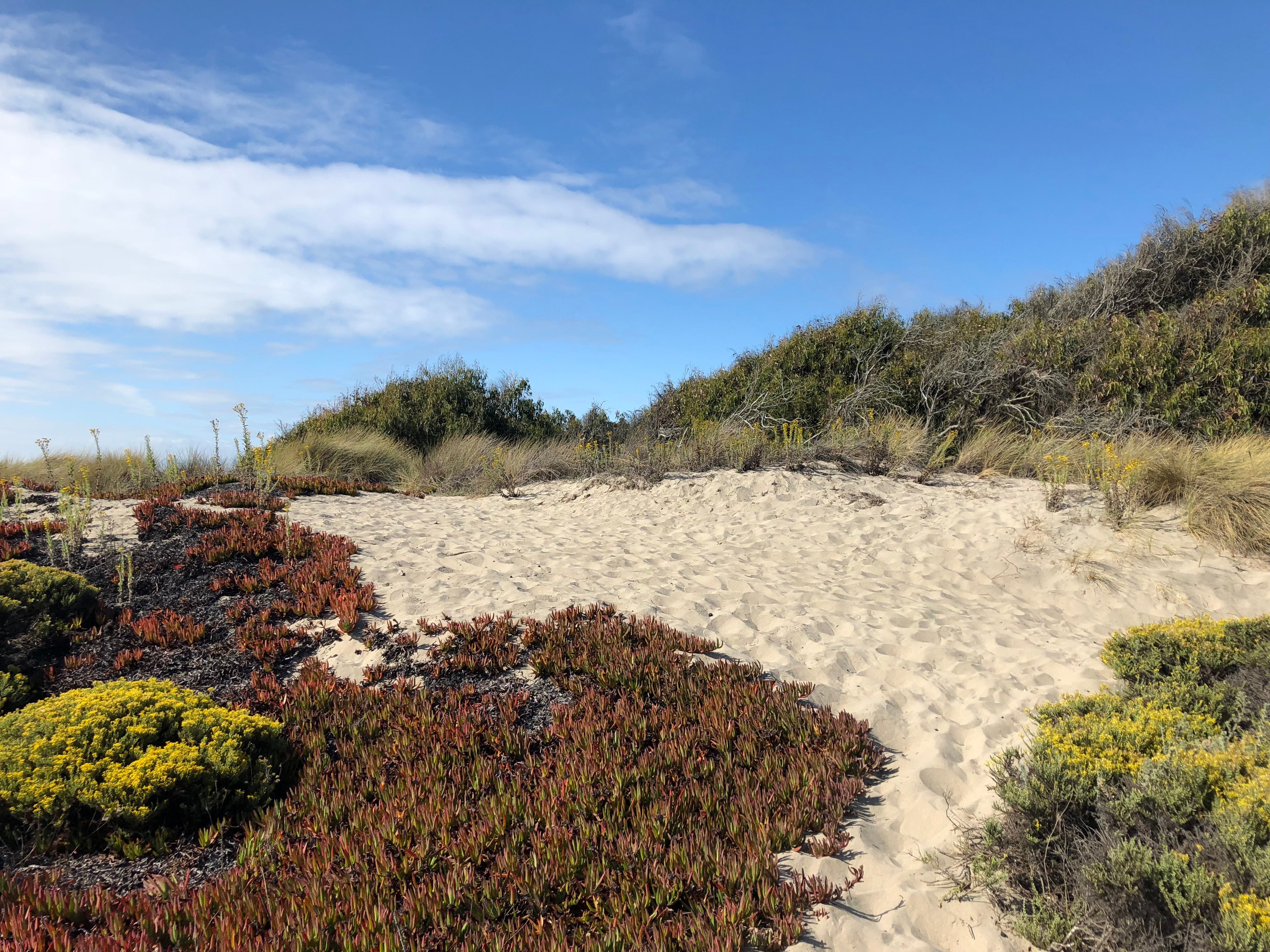 Palm Beach State Park