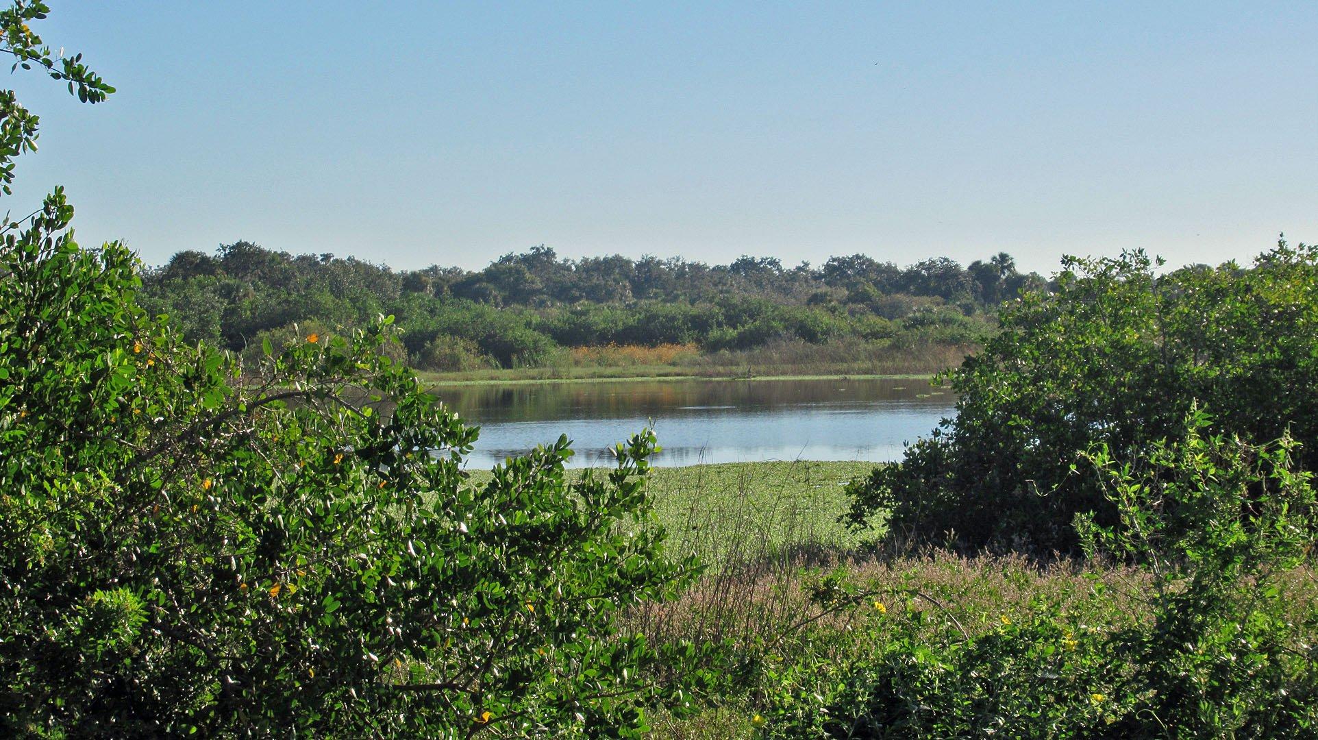 Charlotte Harbor State Park