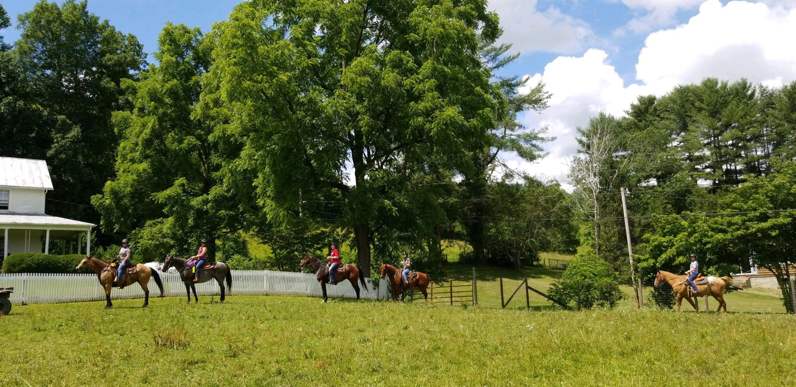 Roan Mountain Riding Company