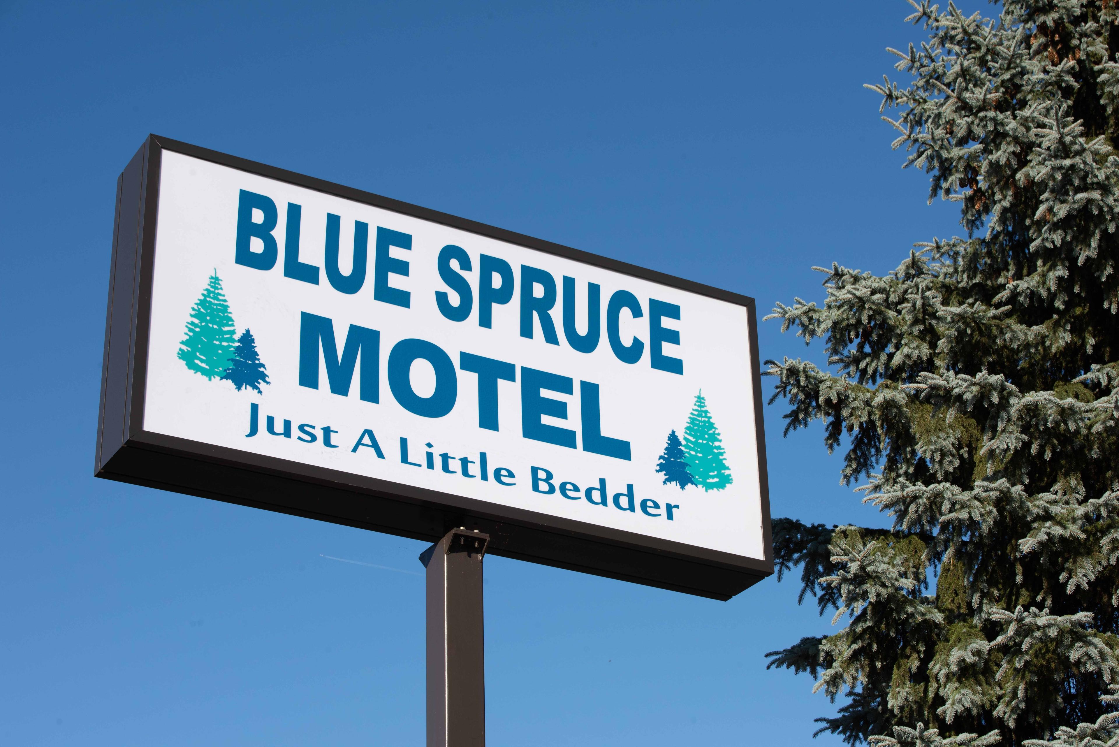 Blue Spruce Motel