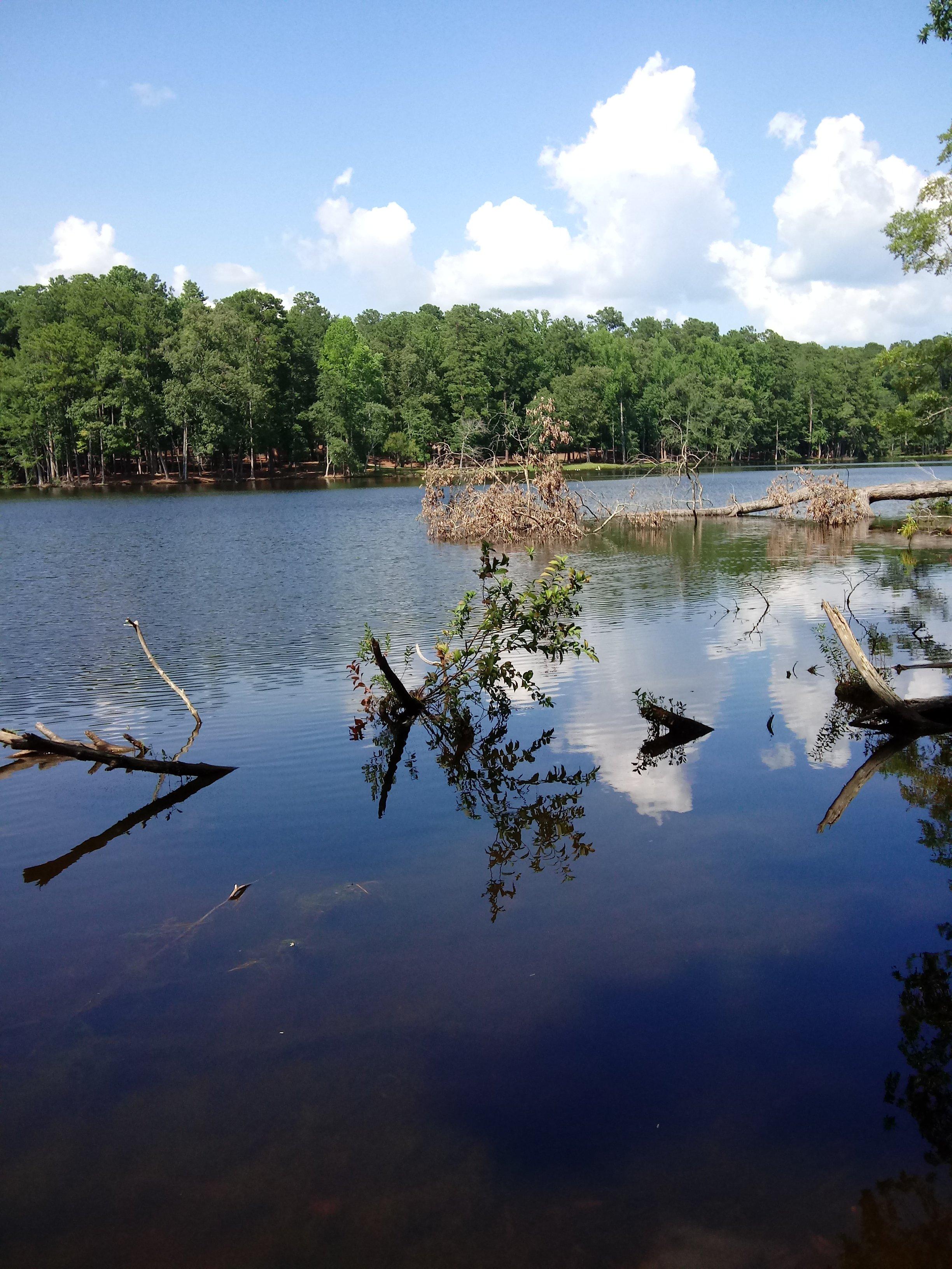 Clarkco State Park