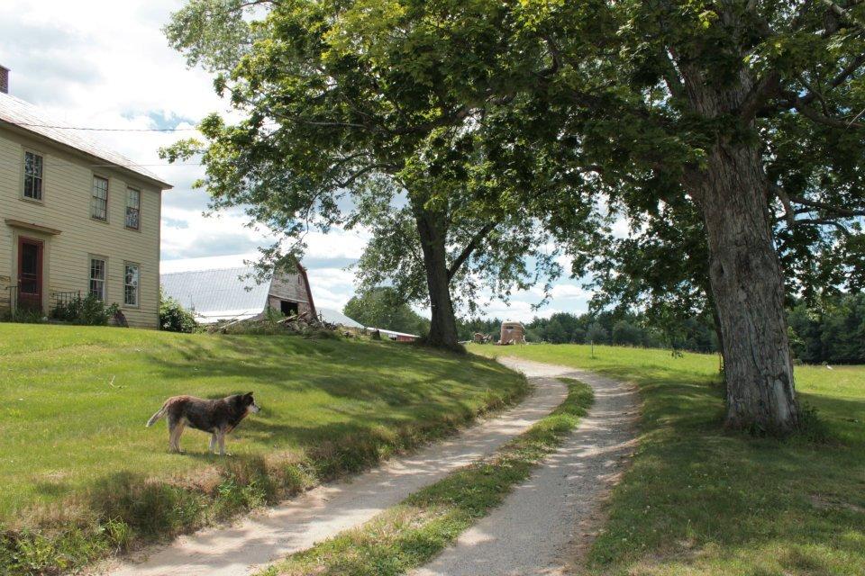 Chicoine Family Farm