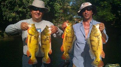 Florida Peacock Bass Fishing