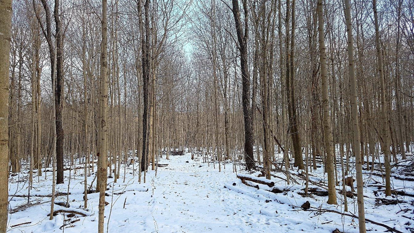 Dan Patterson Conservation Area