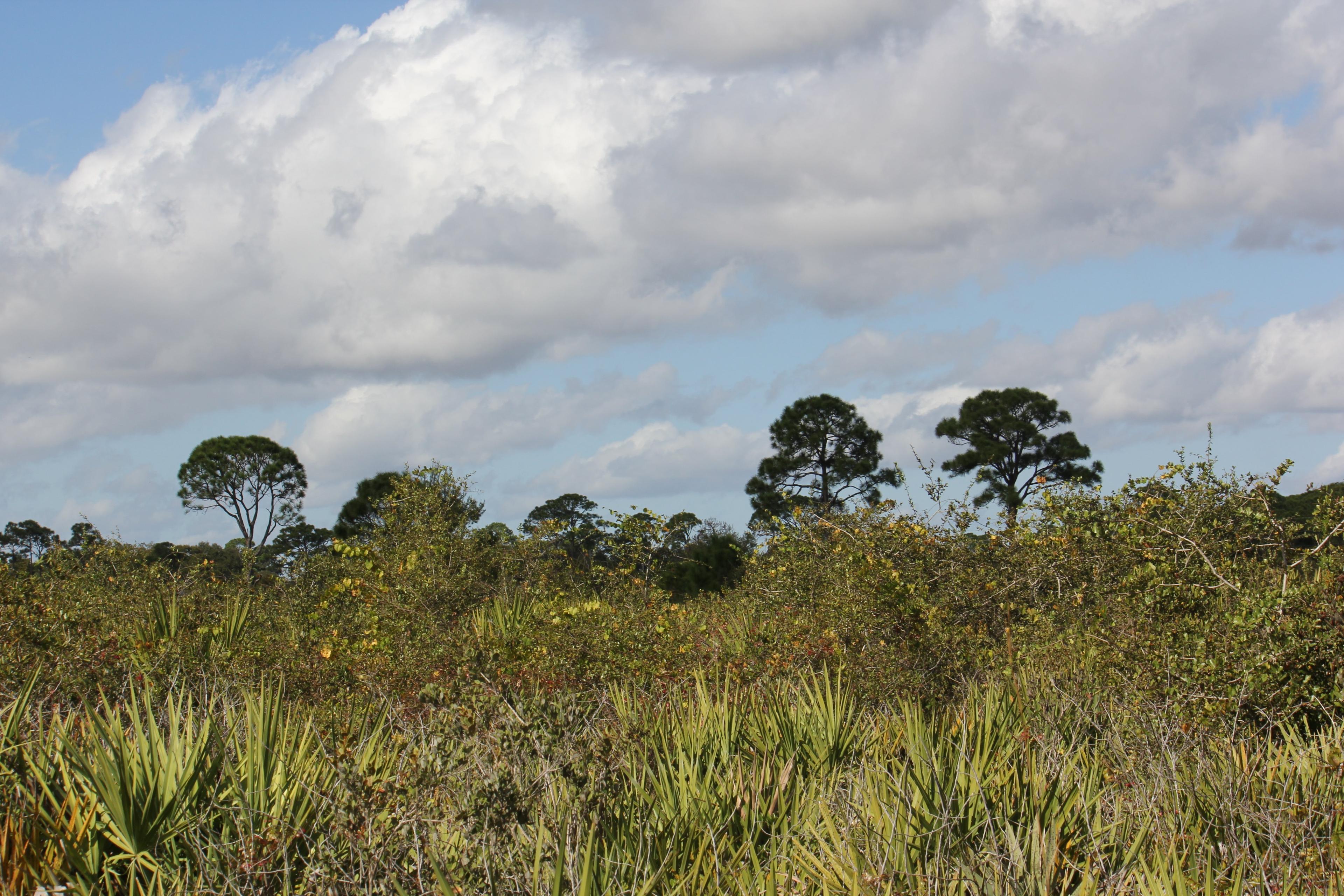 Sheraton Scrub Preserve