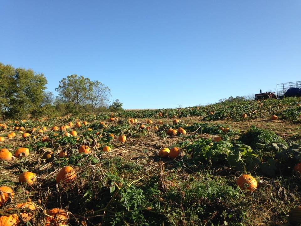 Dittmar Farms And Orchard