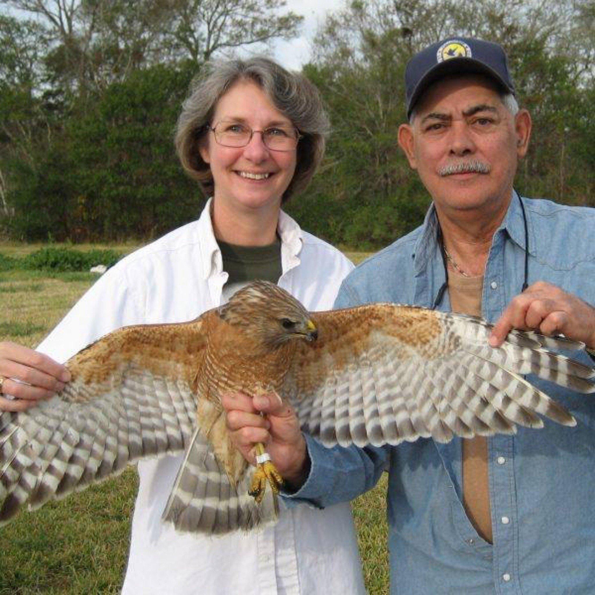 Gulf Coast Bird Observatory