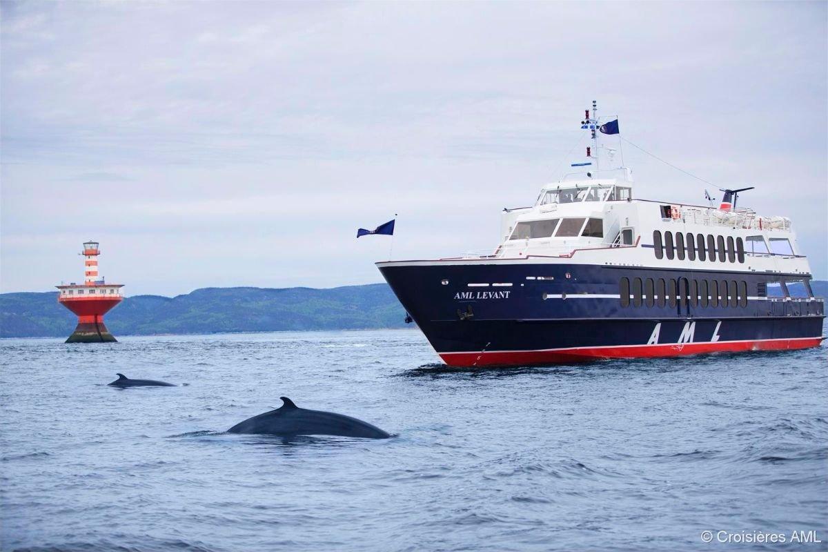 Croisières Aml | Rivière-du-loup