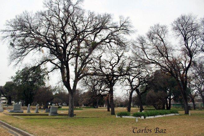 Pioneers Rest Cemetary