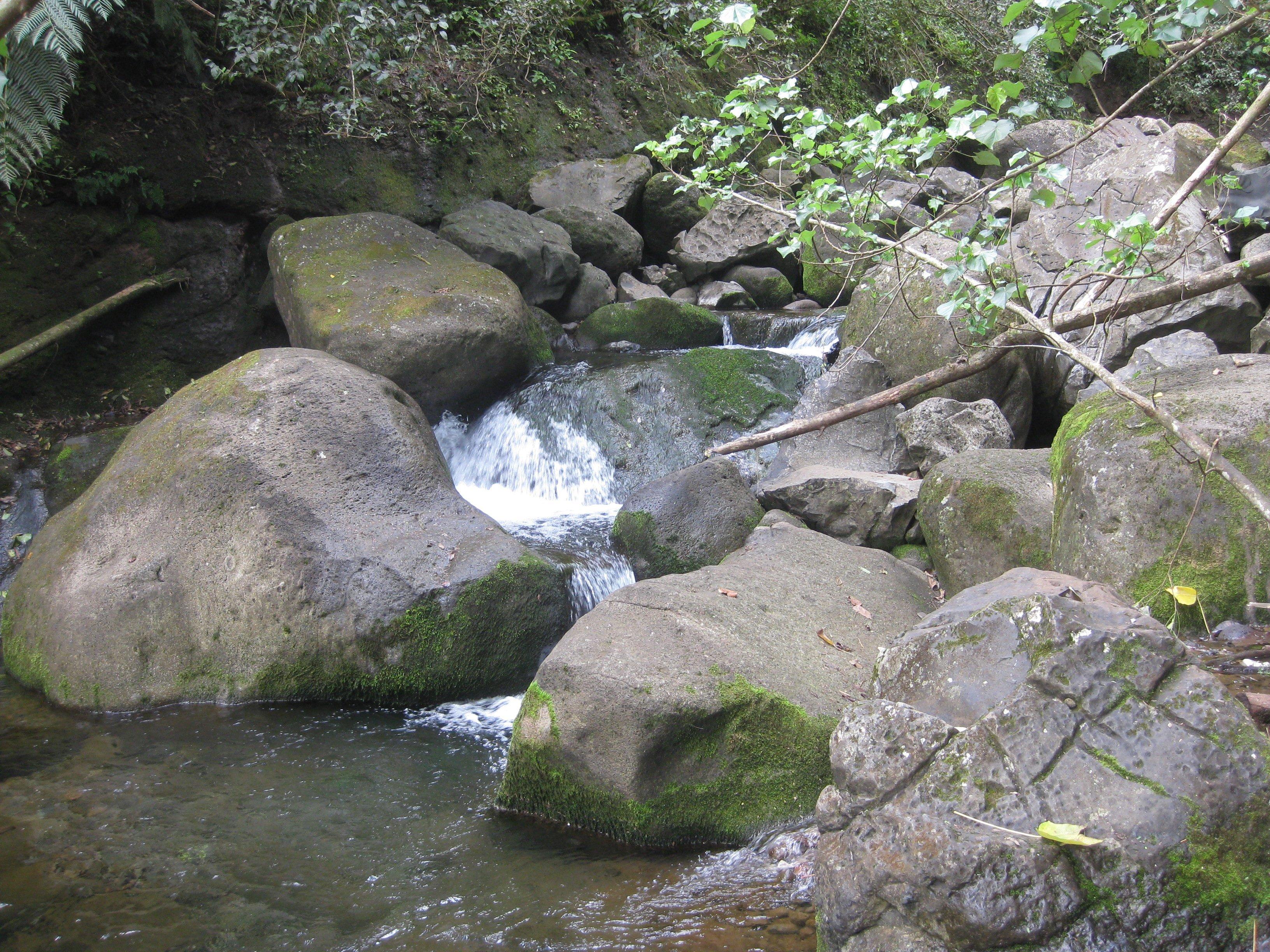 Makaleha Falls Trail