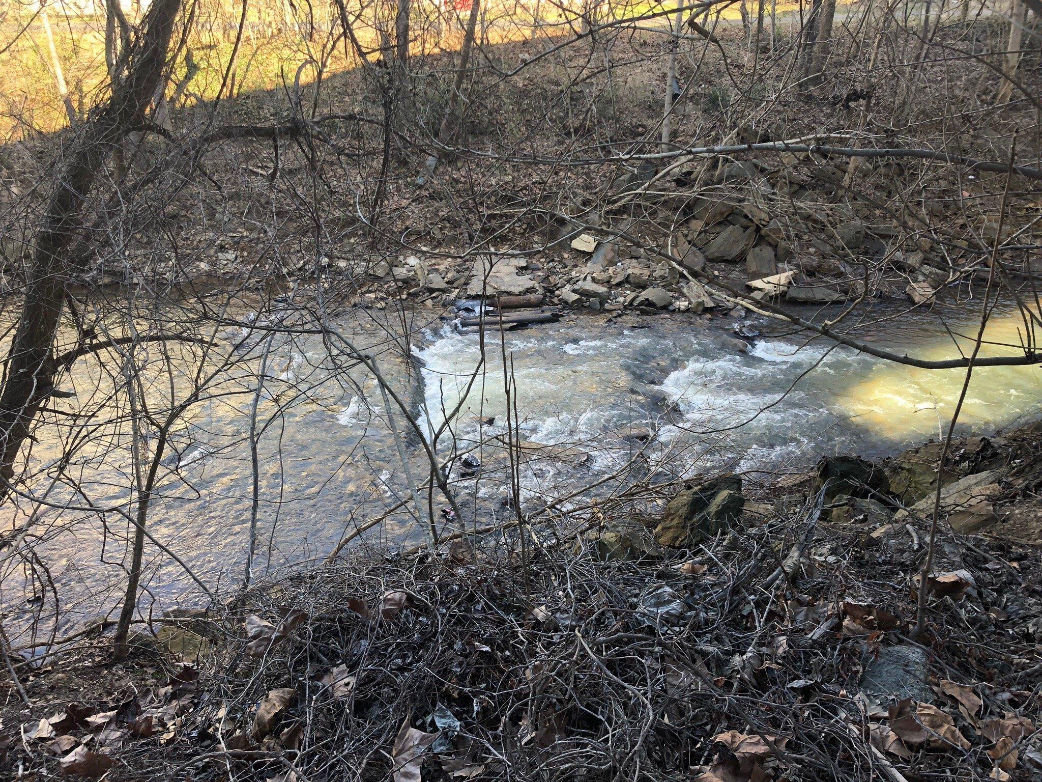 Blackwater Creek Trail