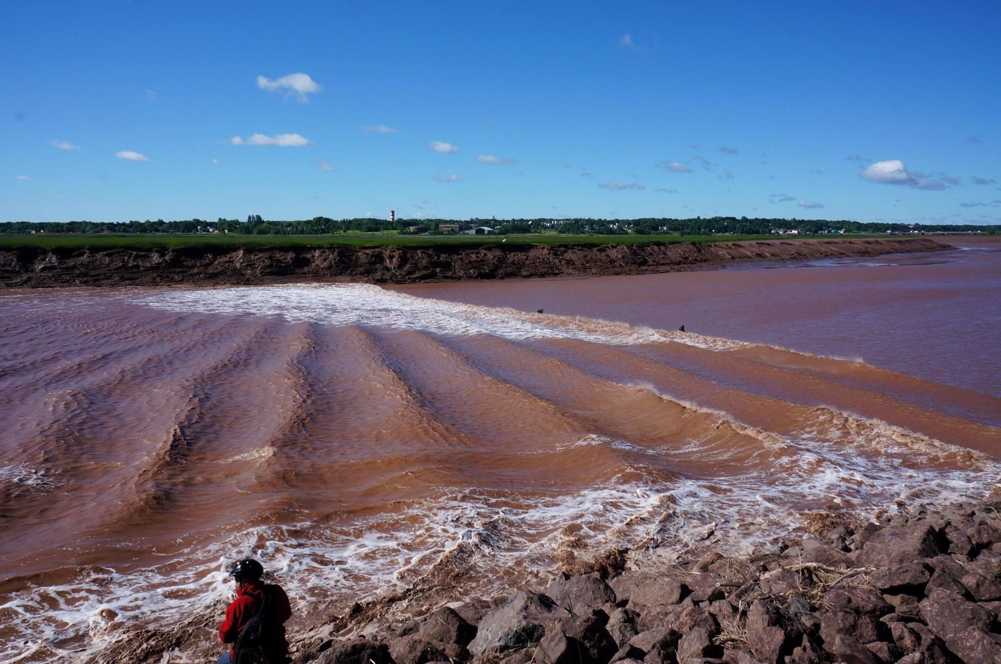 Tidal Bore