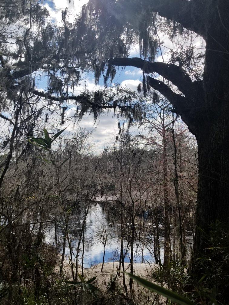 Okefenokee Heritage Center