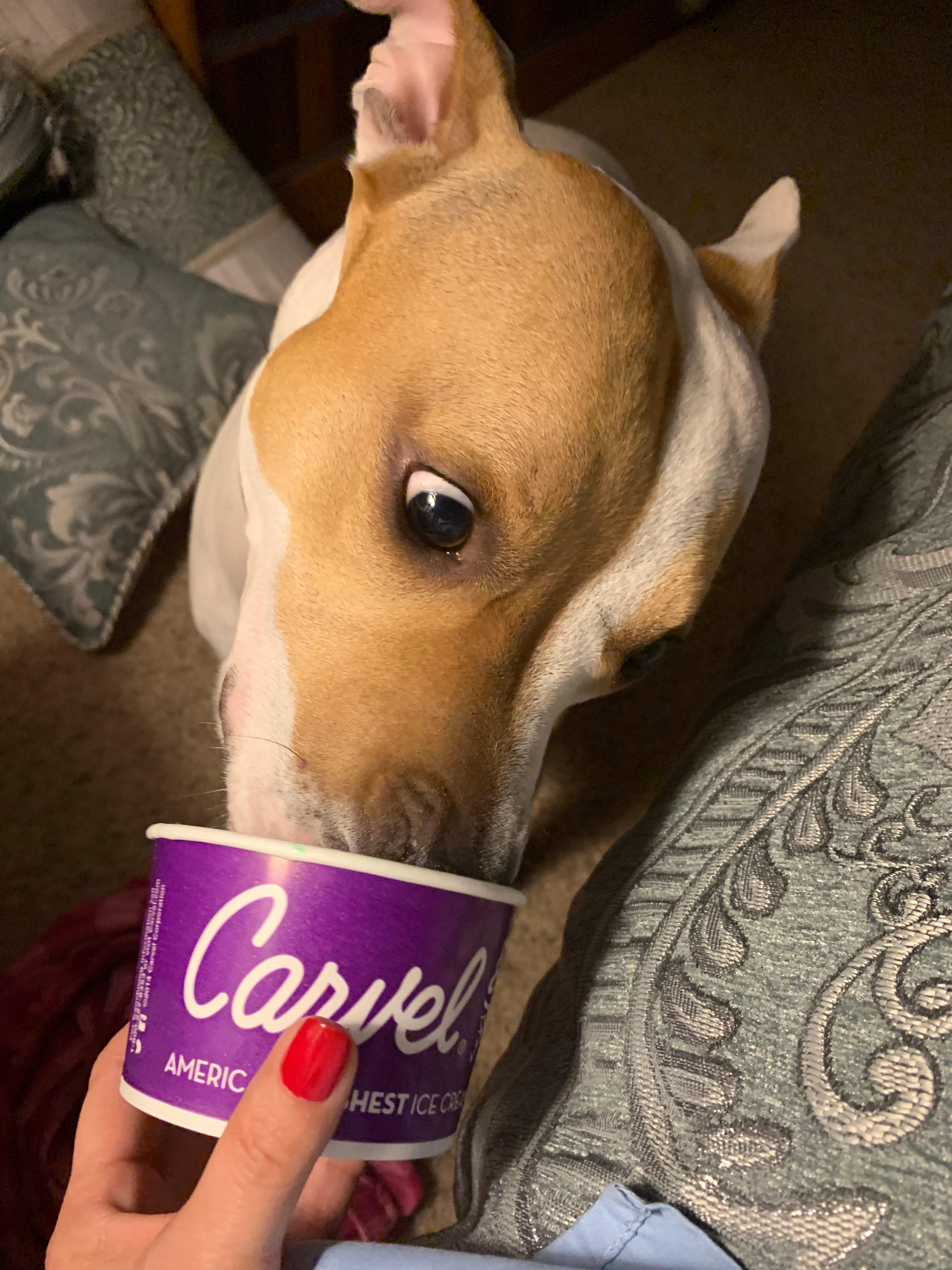 Carvel