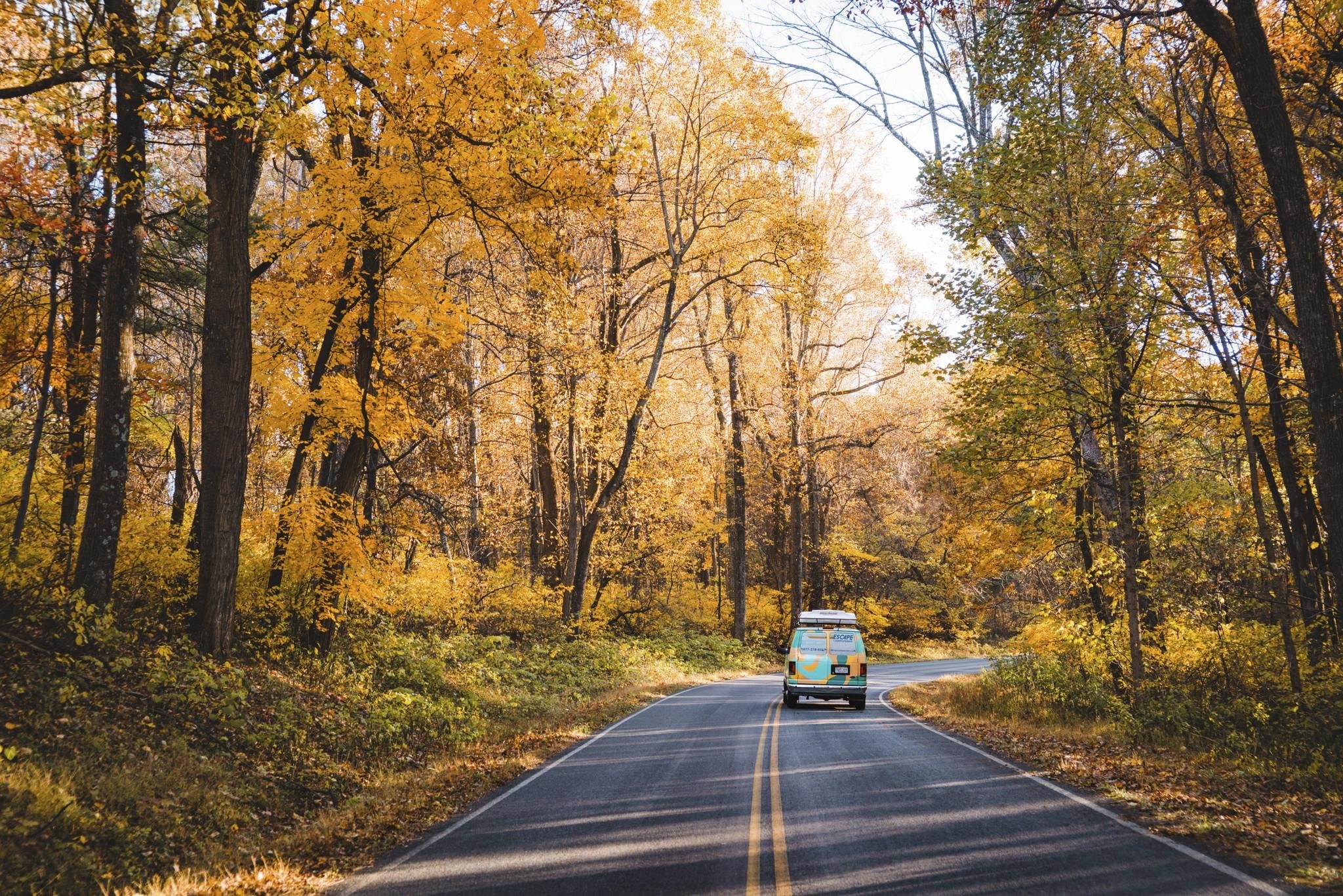 Escape Campervans