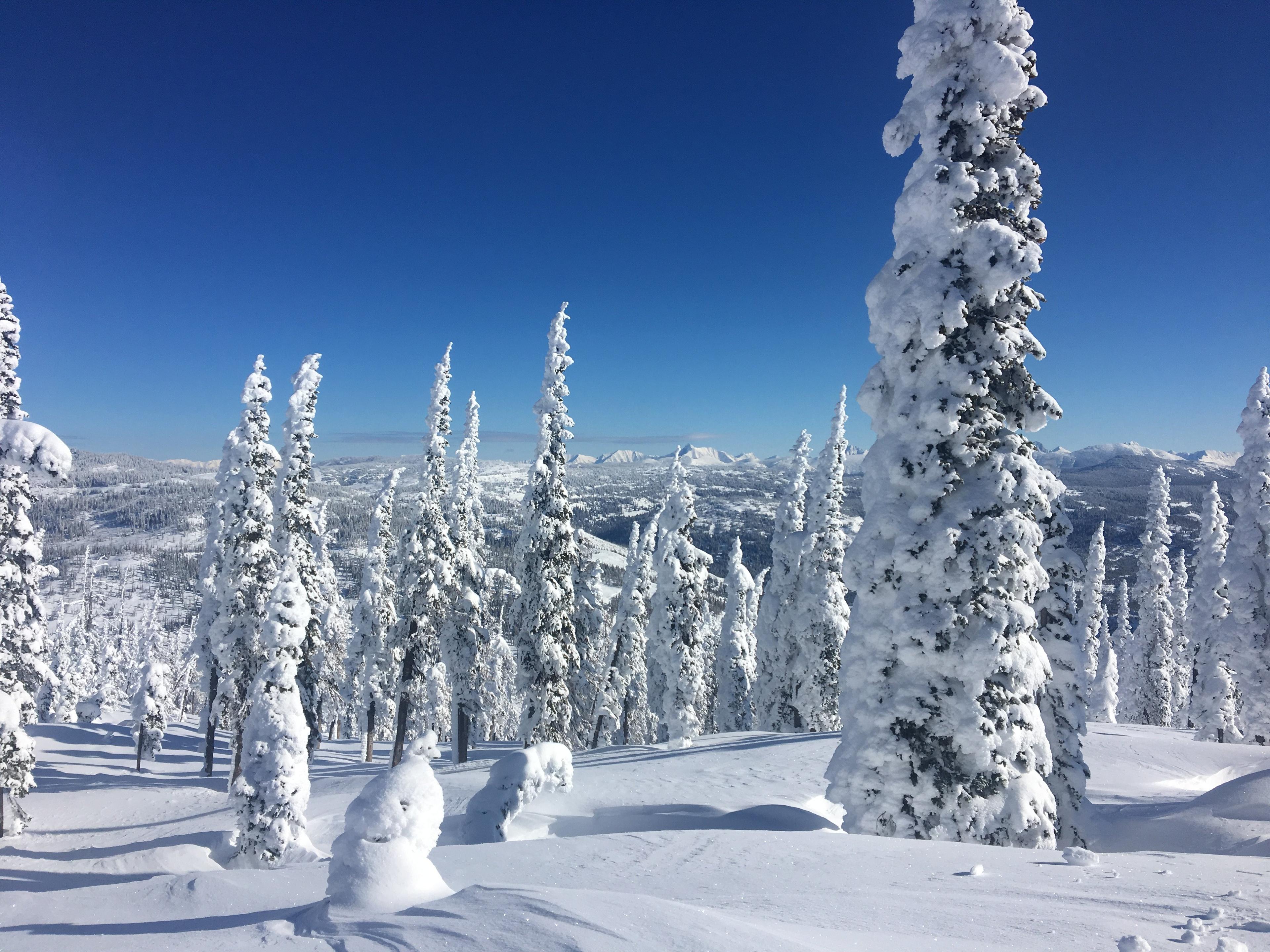 Fernie Wilderness Day Adventures