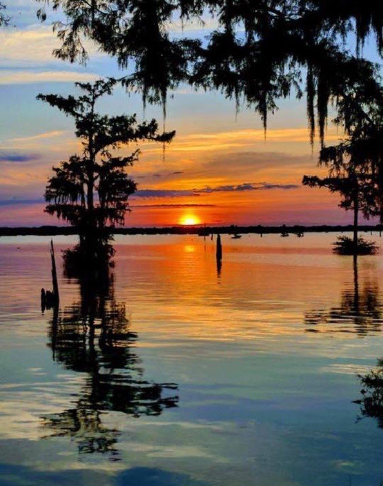 Cajun Country Swamp Tours