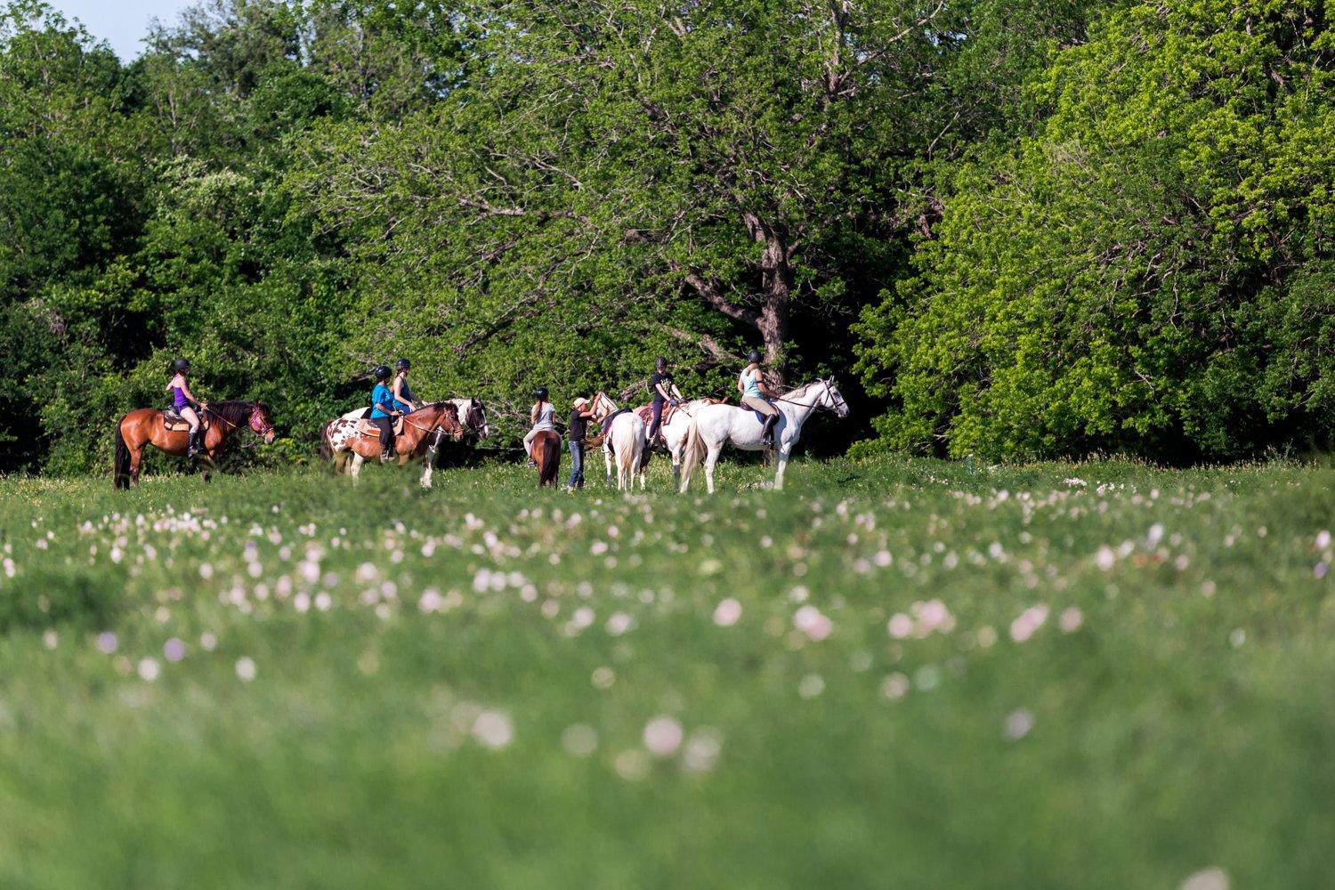 Tri-Star Farm