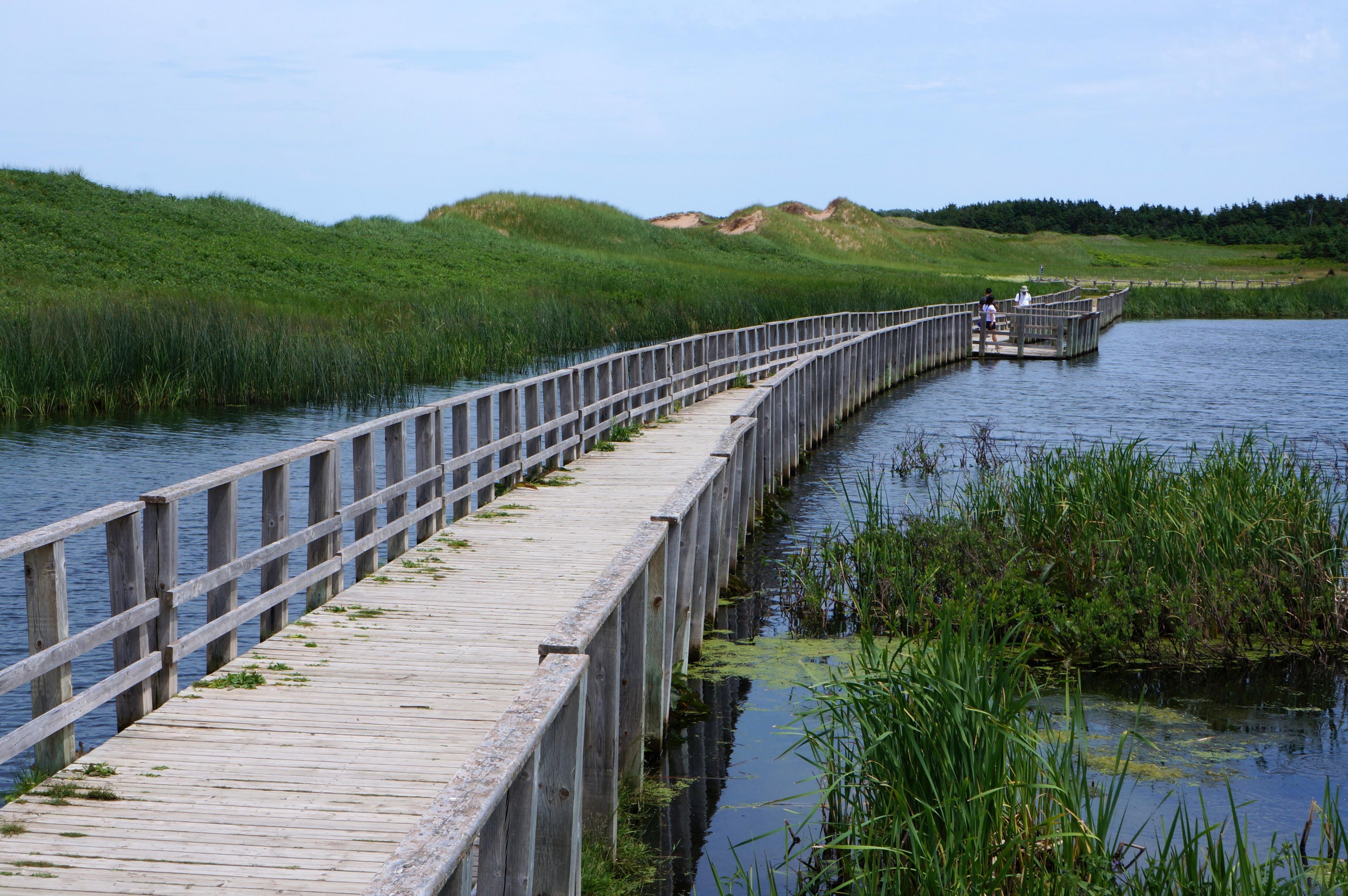 Cavendish Dunelands Trail