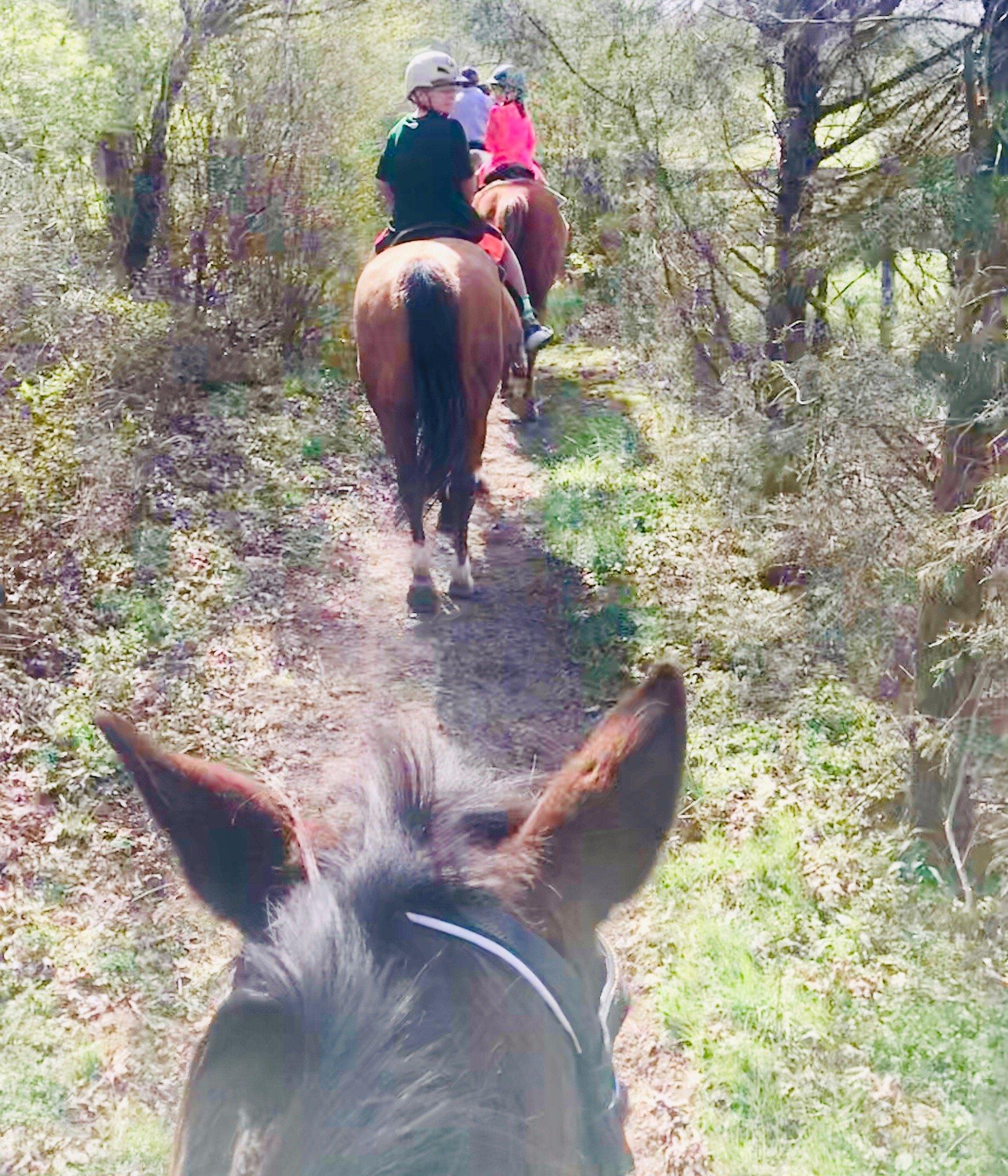 Creekside Riding Academy & Stables