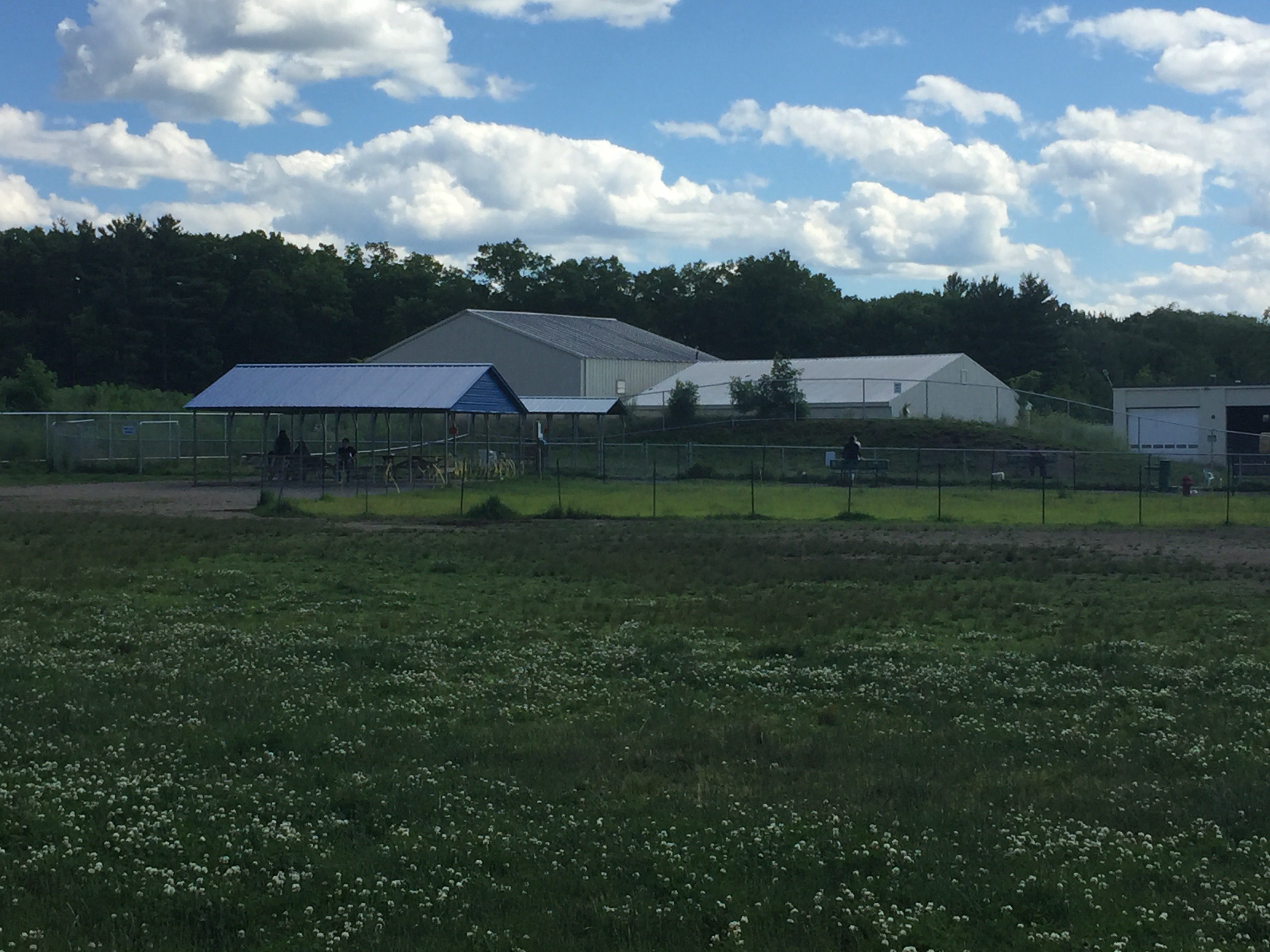 Chelmsford Dog Park