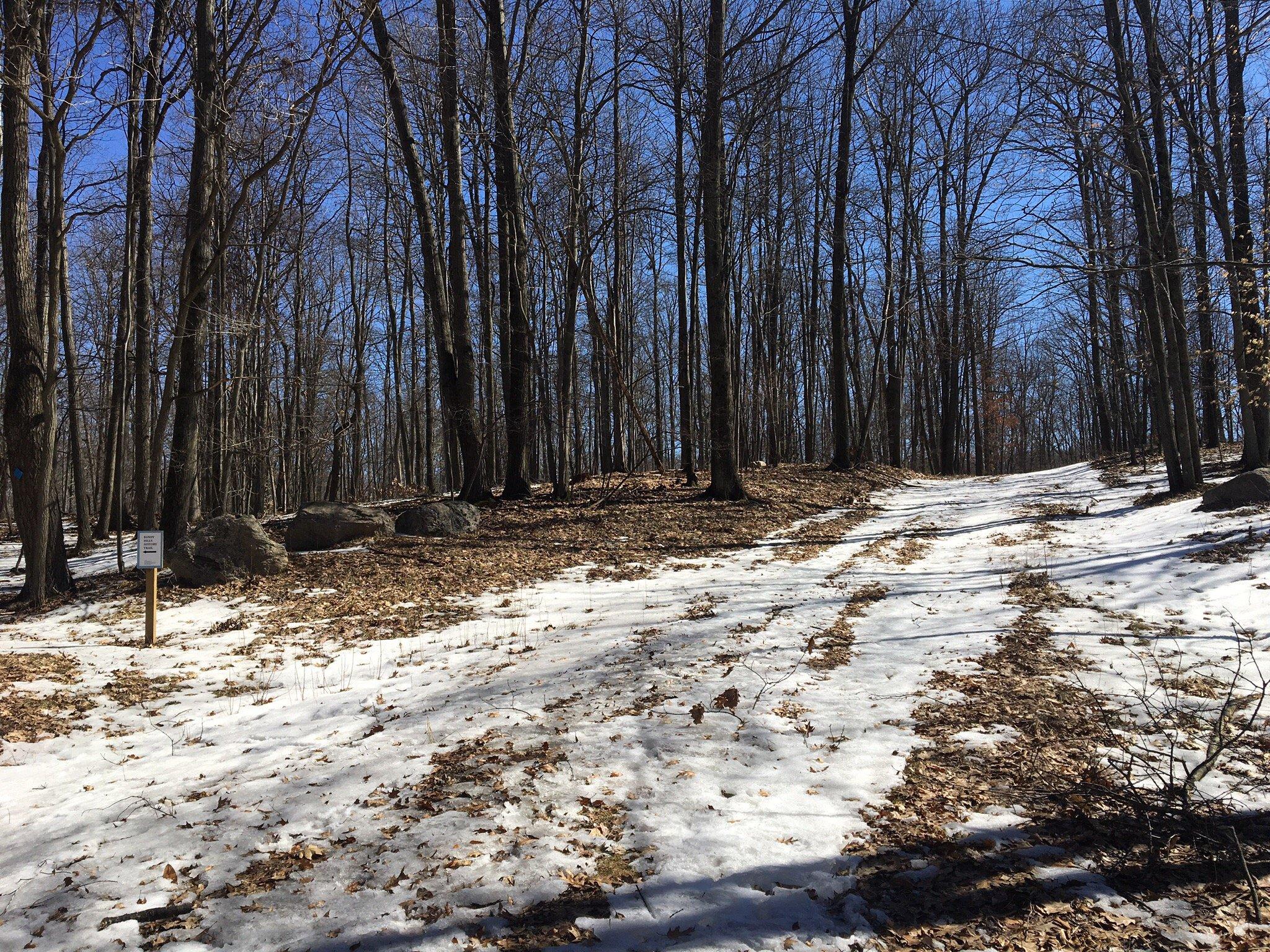 Bundy Hill Preserve