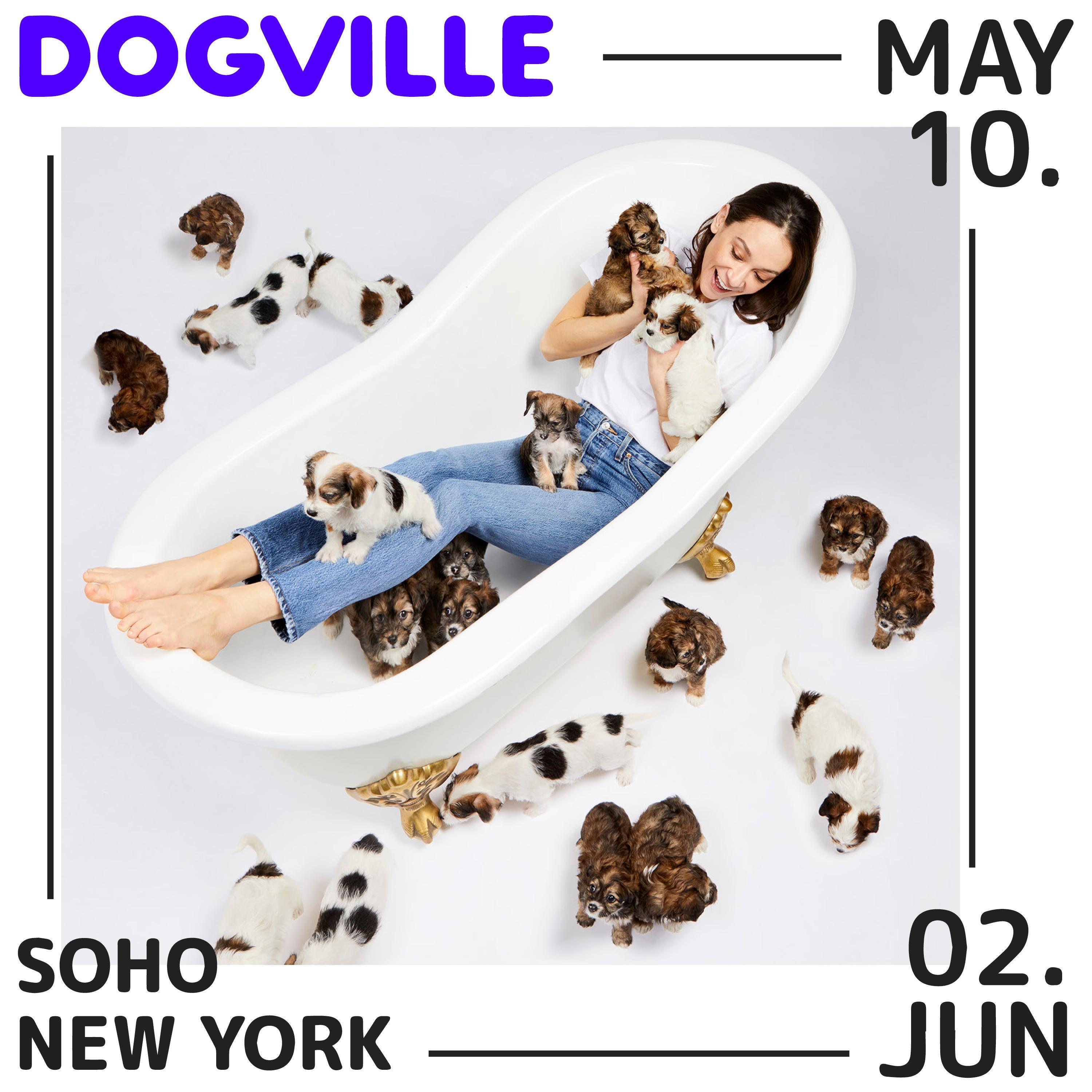 Dogville NYC