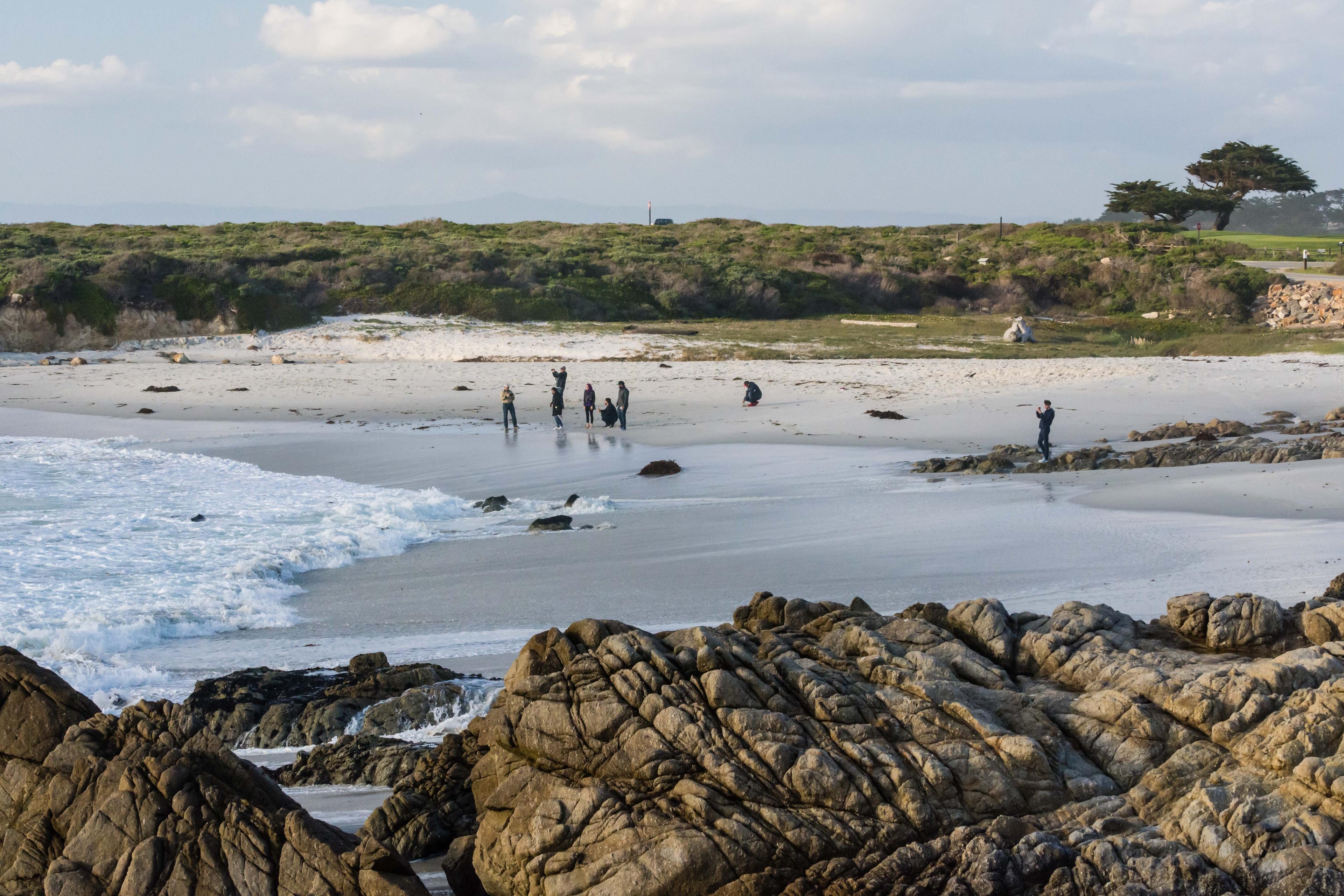 Seal Rock Creek beach