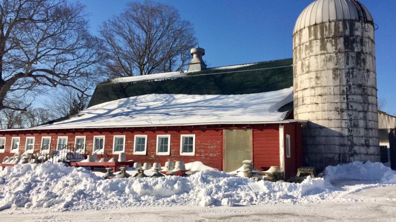 Ballek's Garden Center