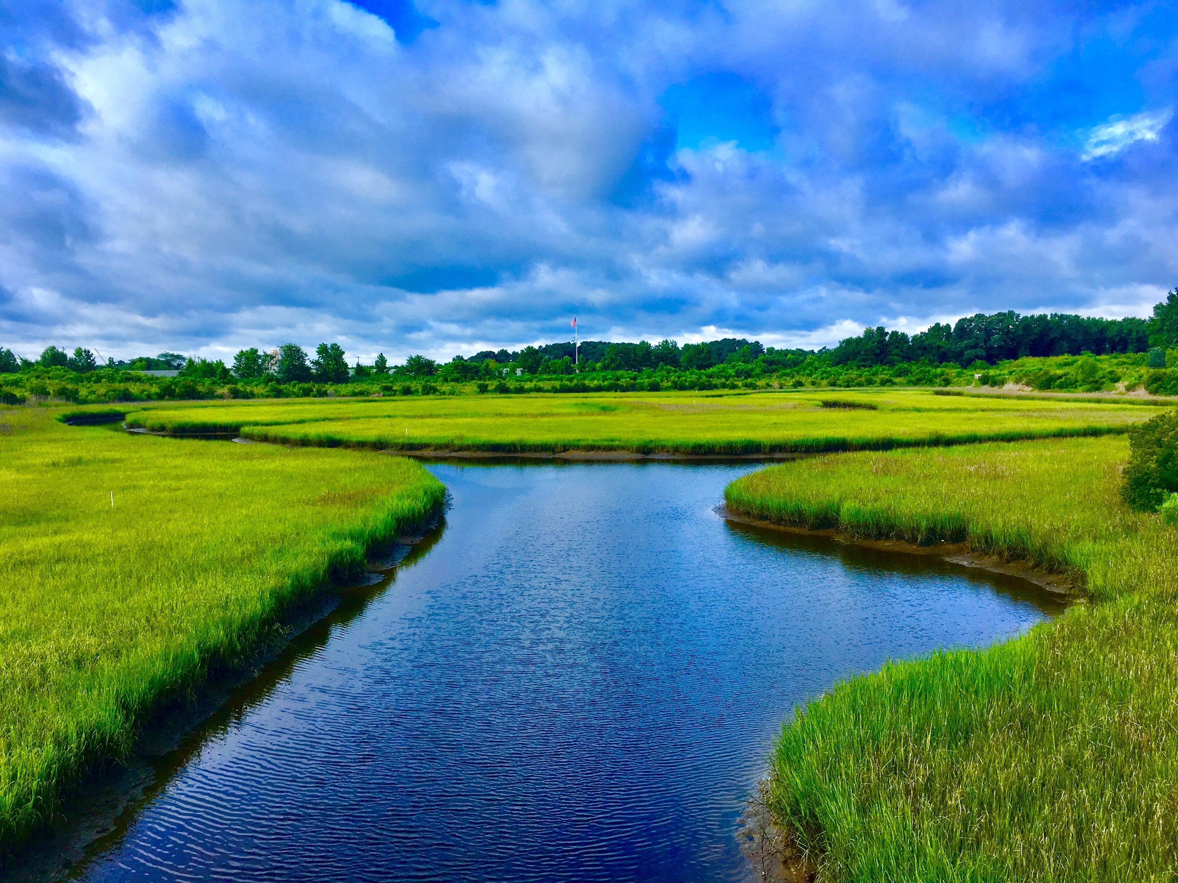 Paradise Creek Nature Park