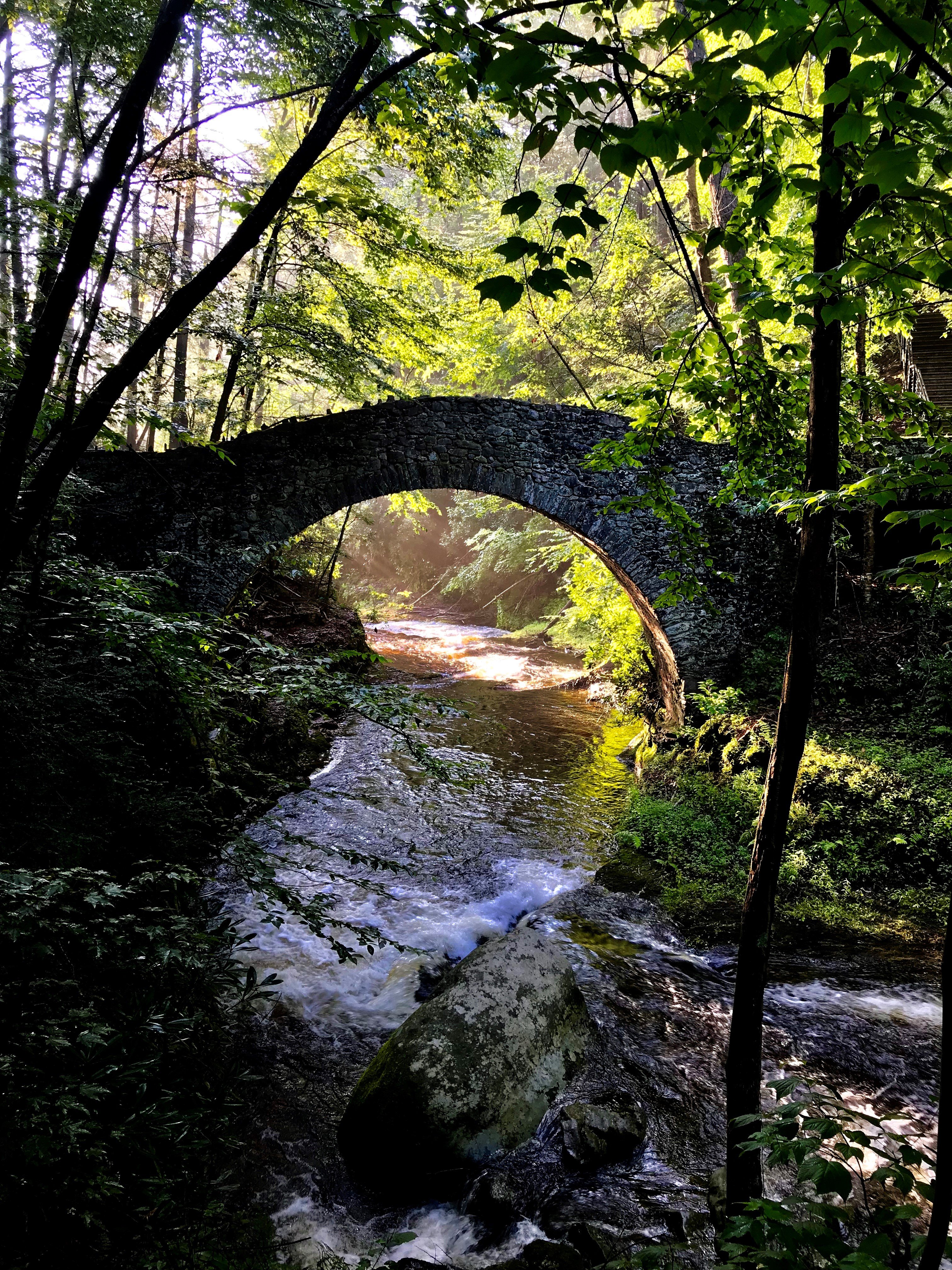 Buck Hill Falls