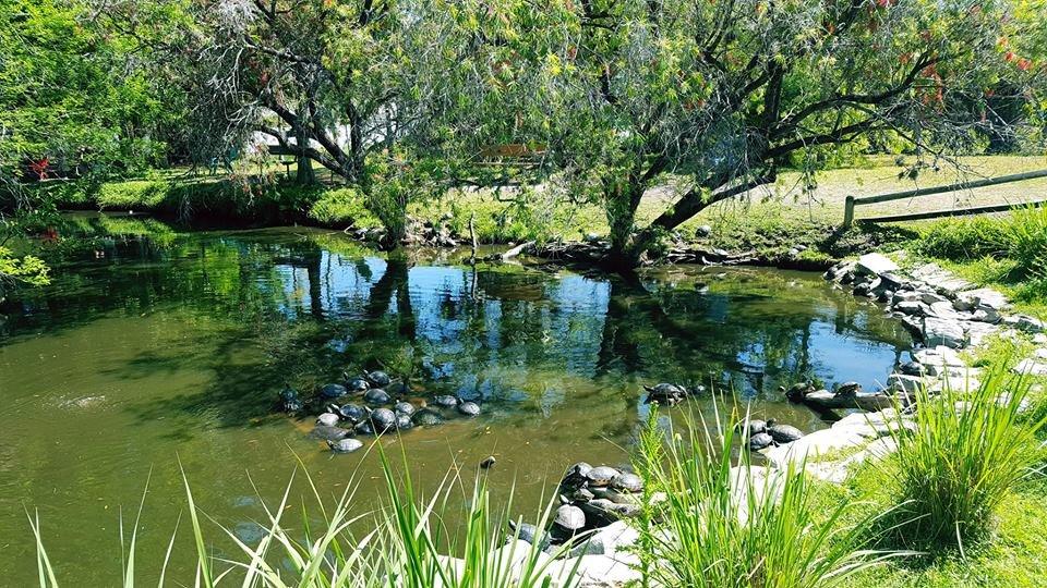 McGough Nature Park