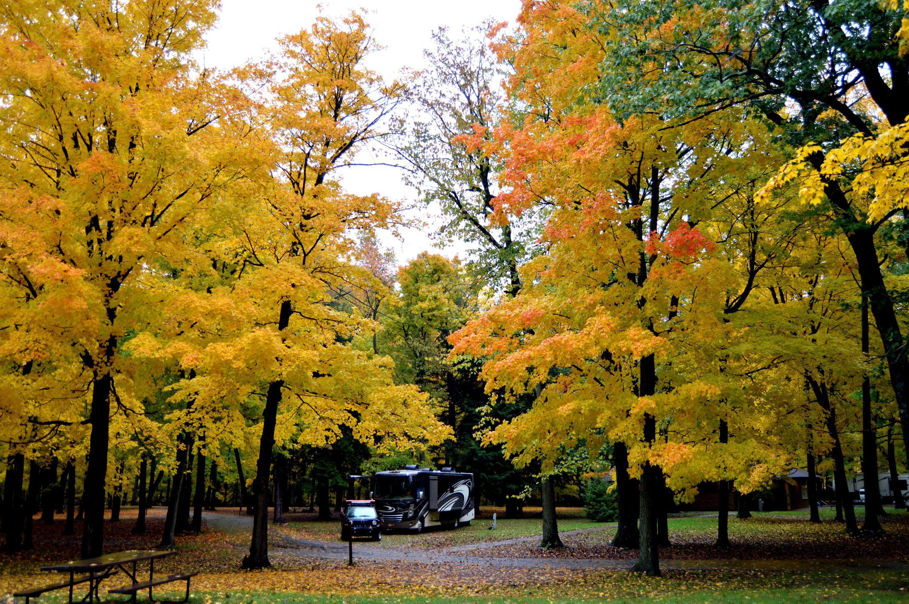 Brunet Island State Park