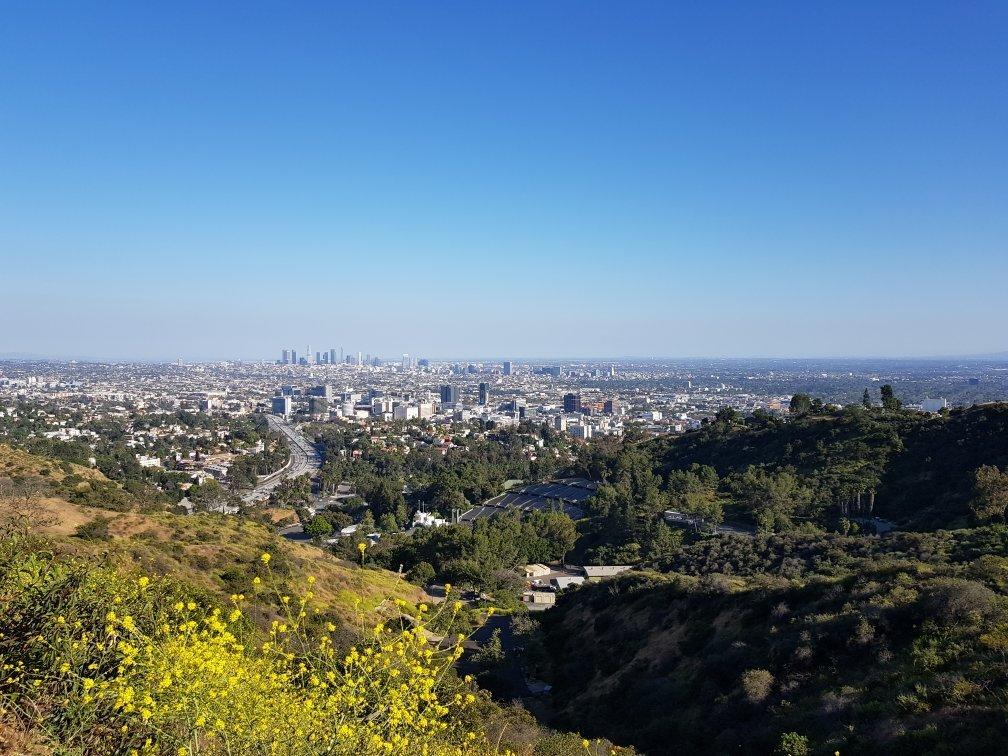 Hollywood Bowl Overlook