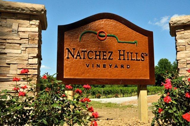 Natchez Hills Vineyard