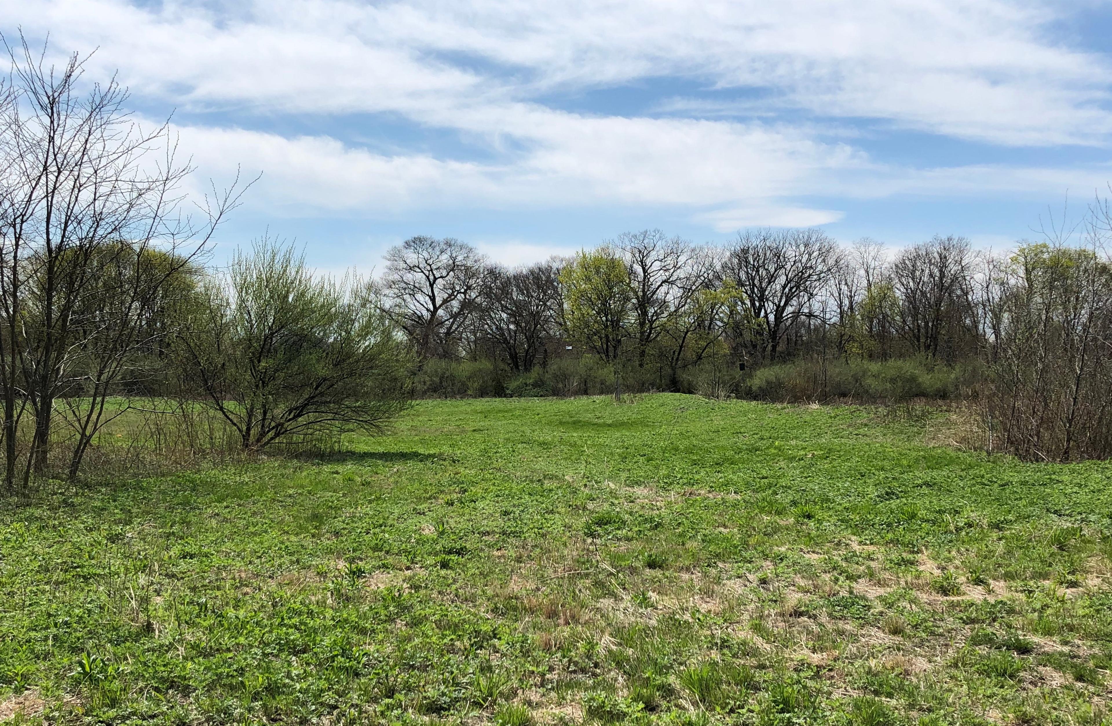 Blue Point Nature Preserve