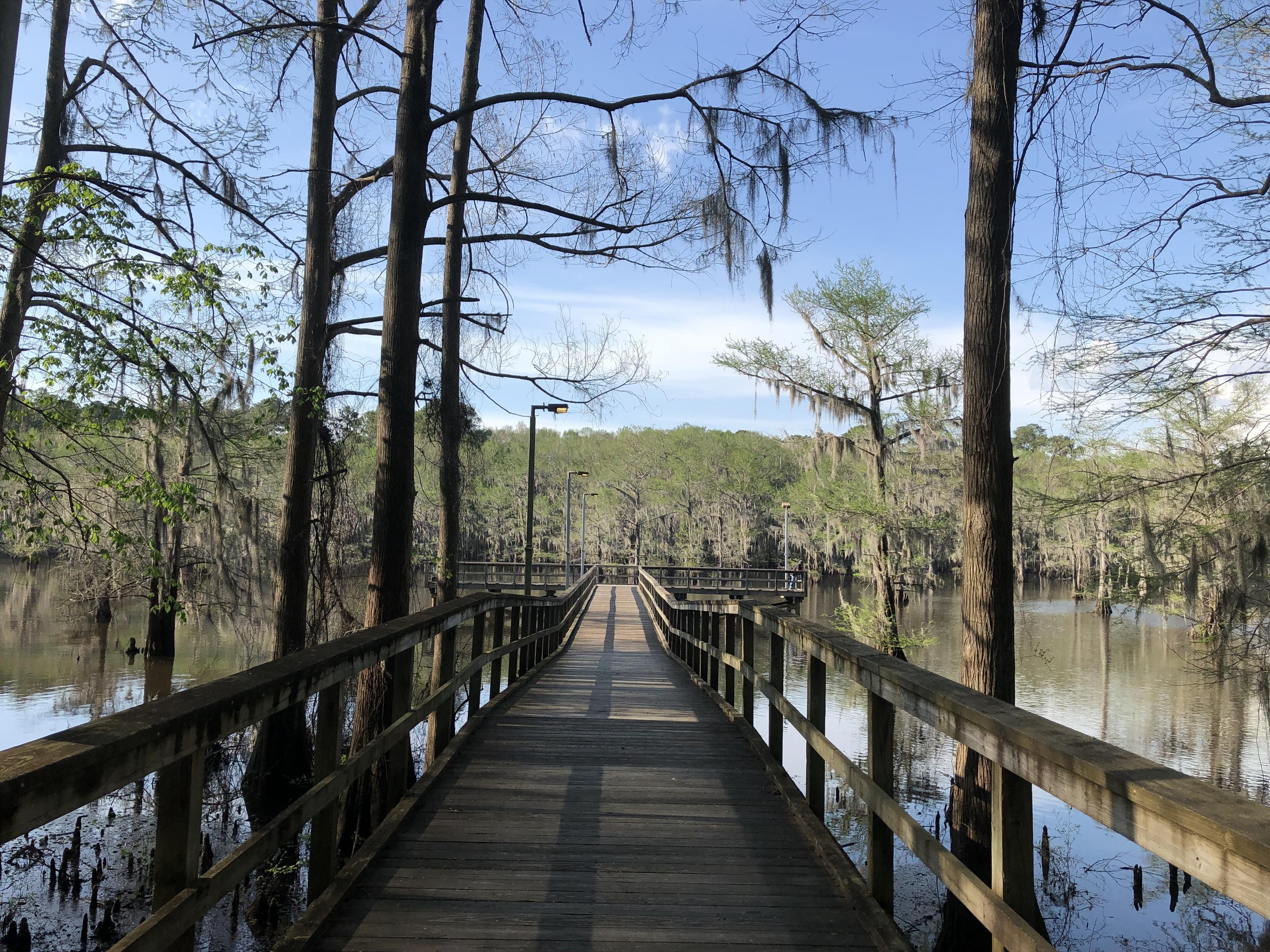 Caddo Lake State Park