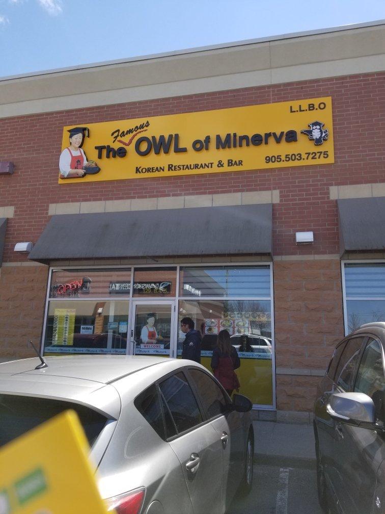 The Famous Owl of Minerva