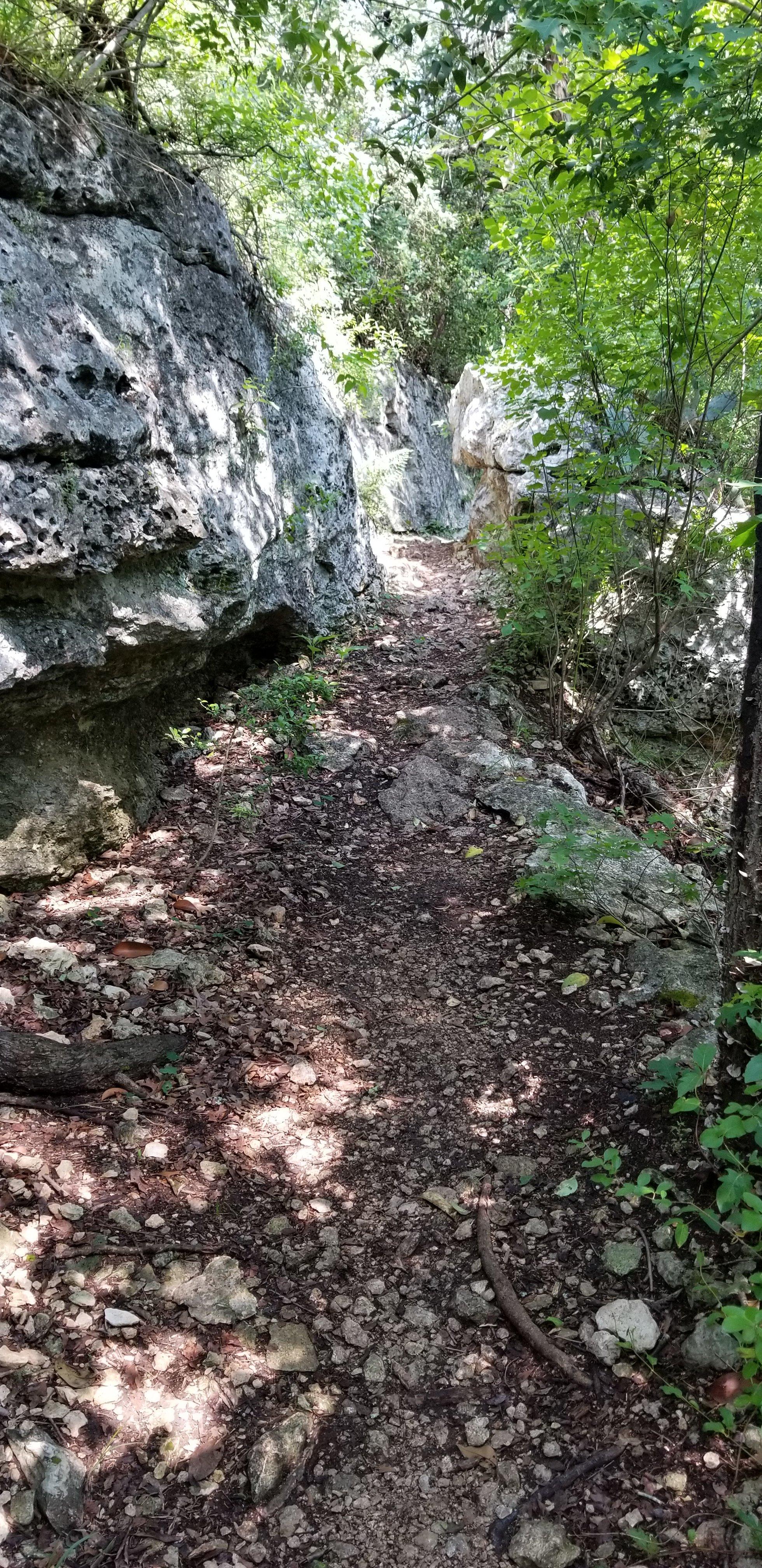 Spicewood Valley Trail