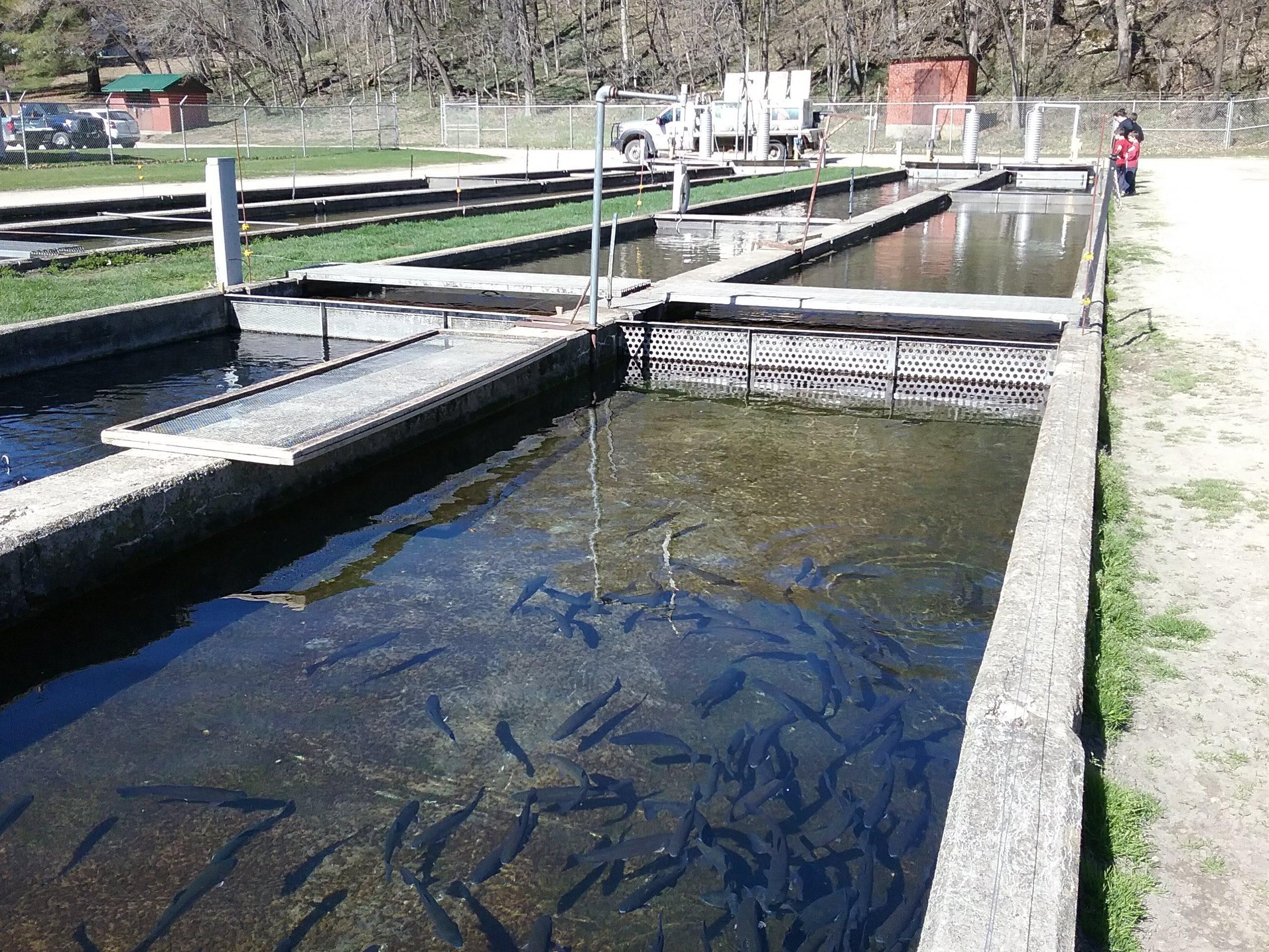 Manchester Fish Hatchery