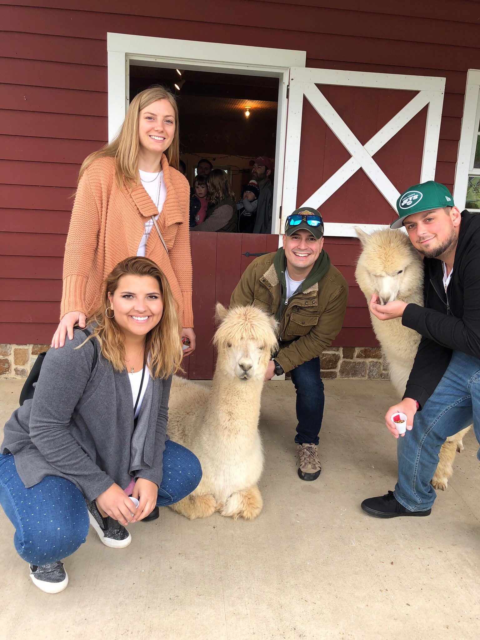 Bluebird Farm Alpacas