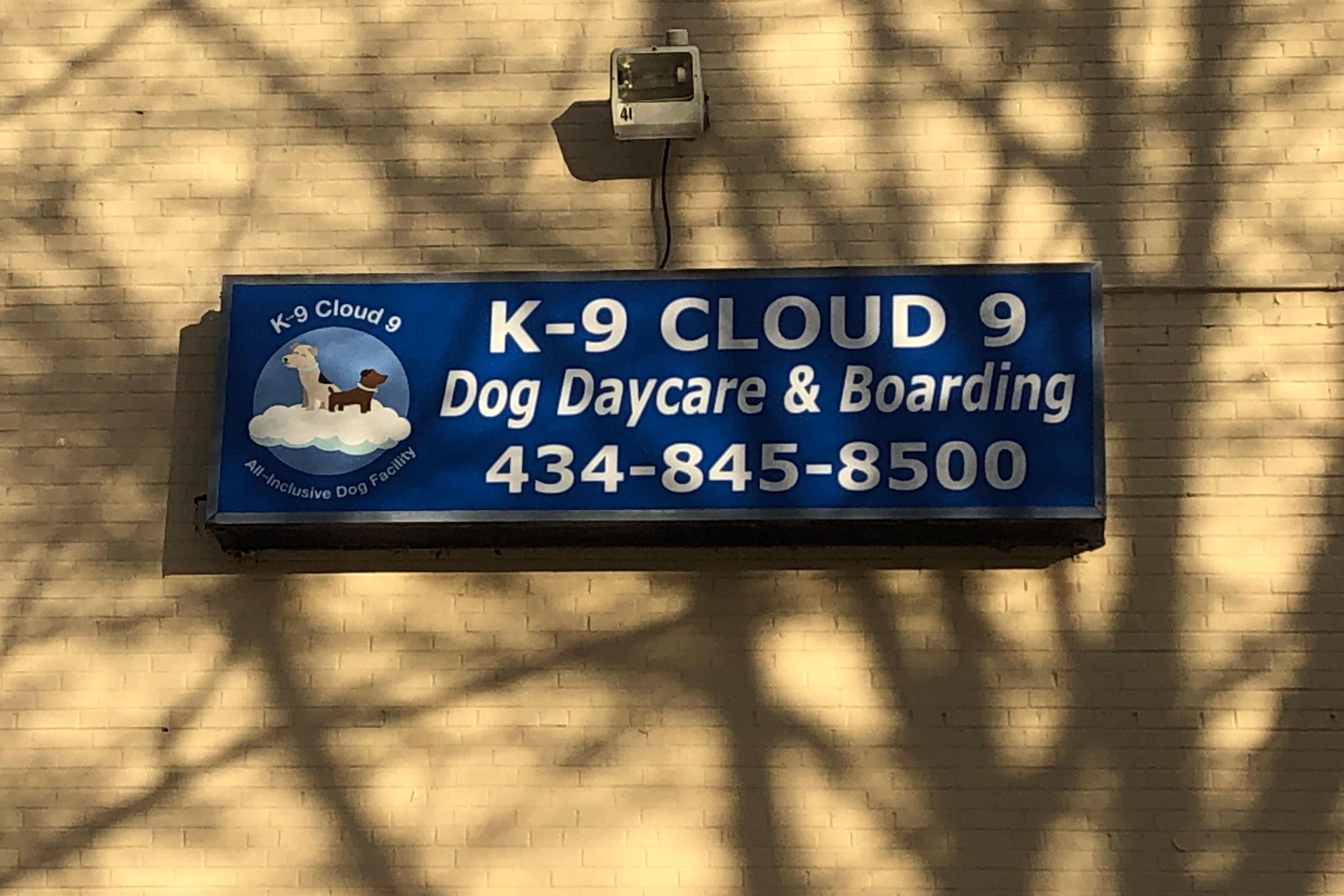 K-9 Cloud 9