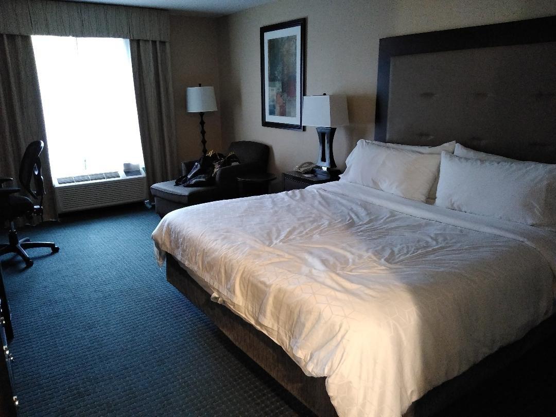 Holiday Inn Express & Suites Detroit-Novi, an IHG Hotel